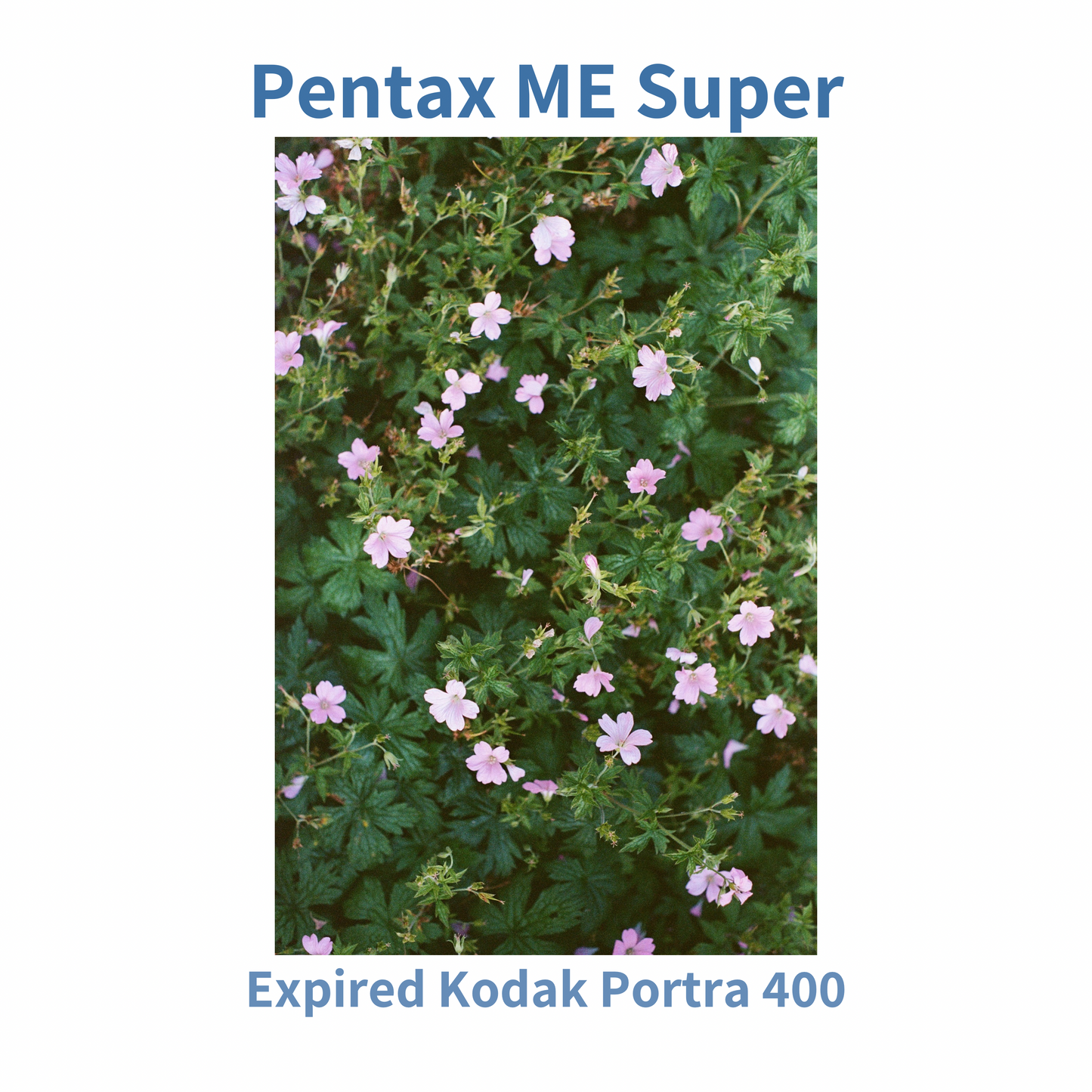 Pentax ME Super