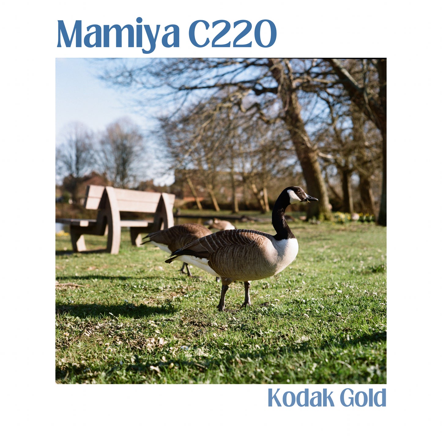 Mamiya C220 Professional f