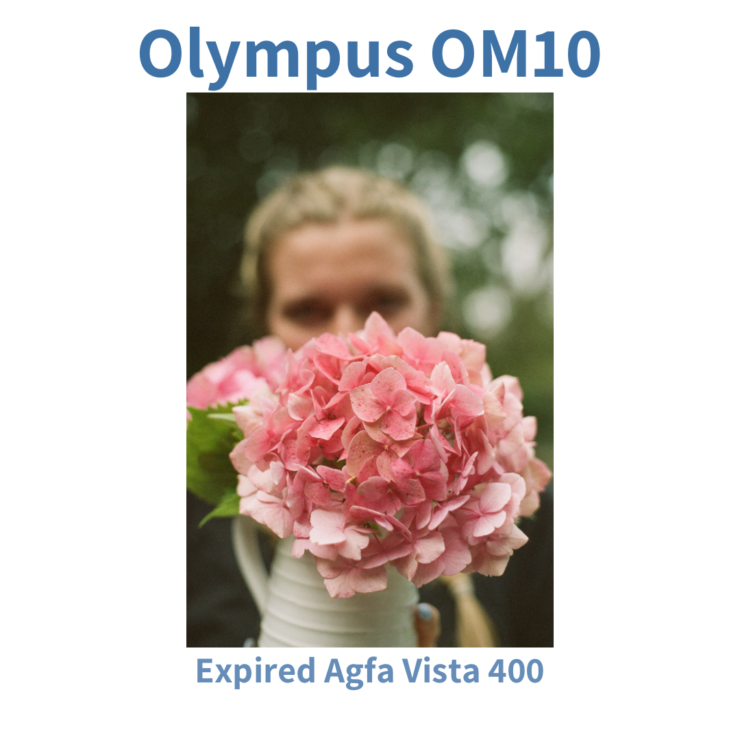 Olympus OM10 - Sage Green