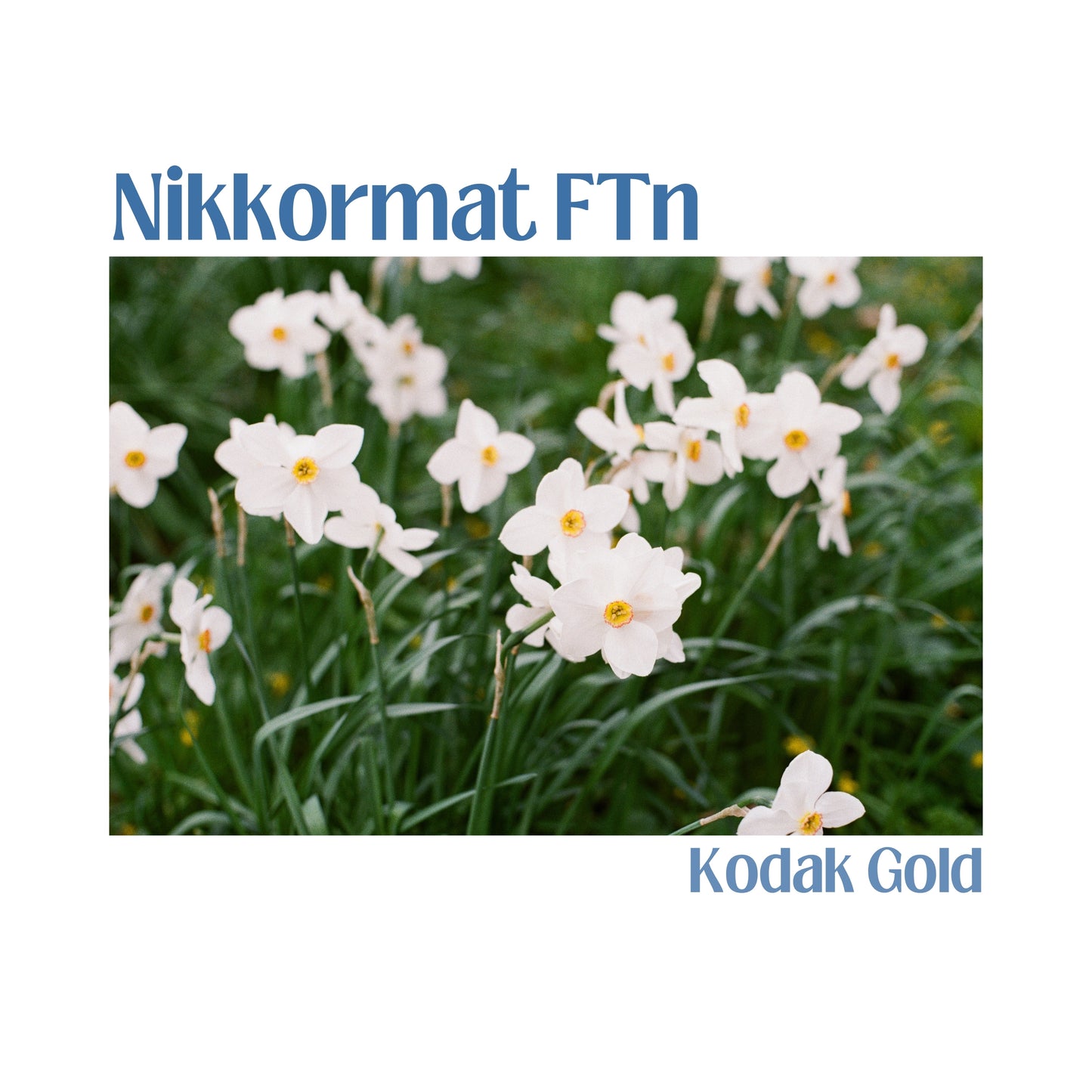 Nikkormat FTN with 50mm f/1.4