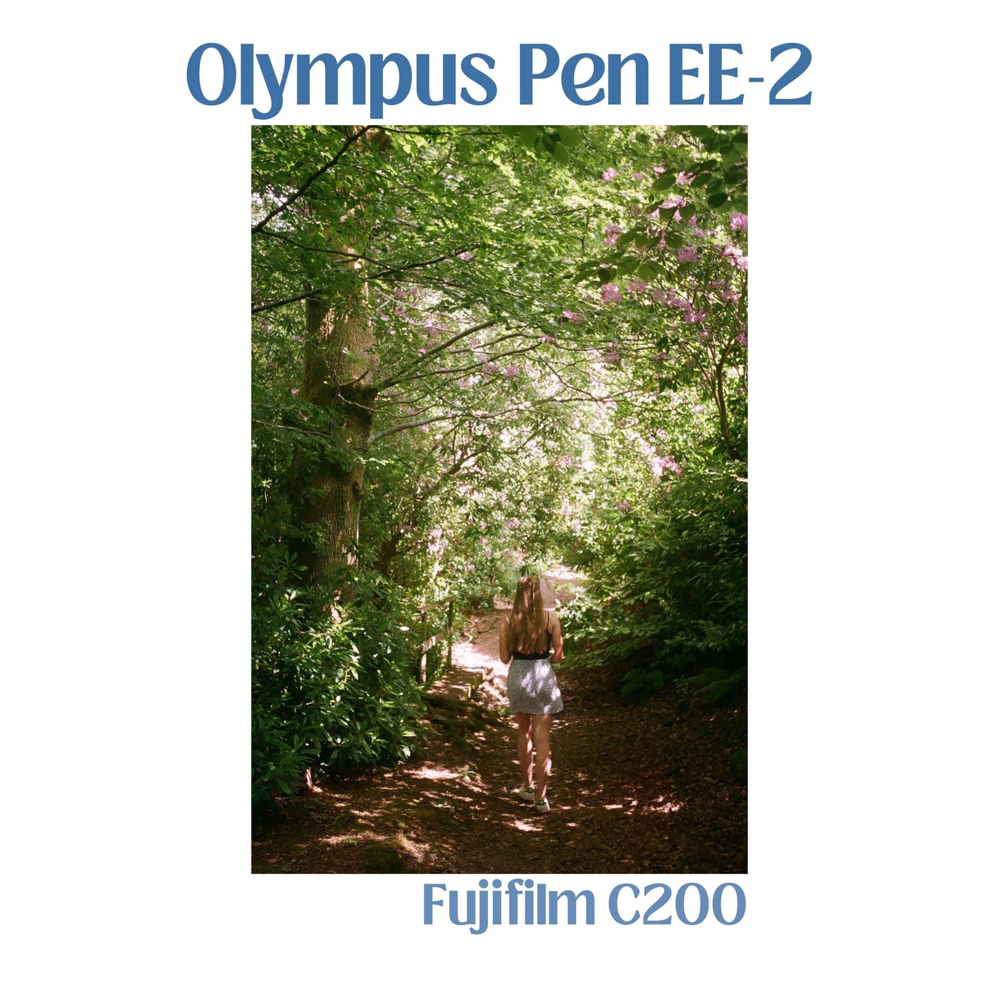 Olympus Pen EE-2 - Pastel Purple