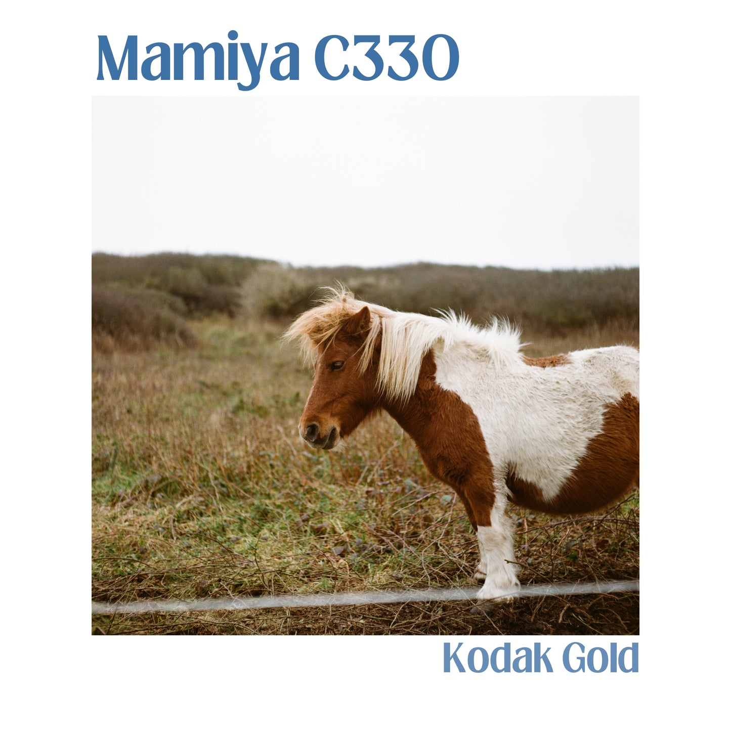 Mamiya C330 Professional F