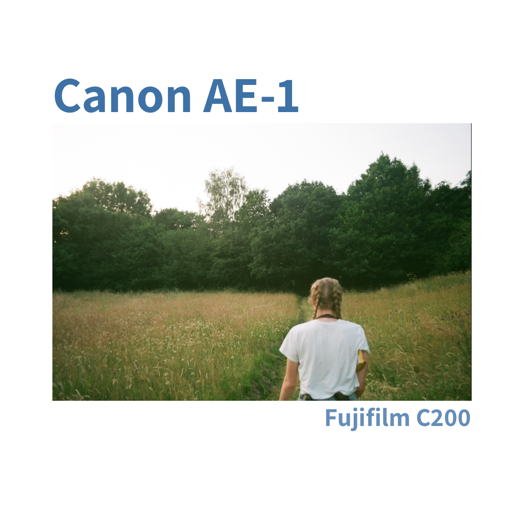 Superia 400 Ultramax 400 Vs Gold 200 Vs Kodak Ultramax 400 Fuji