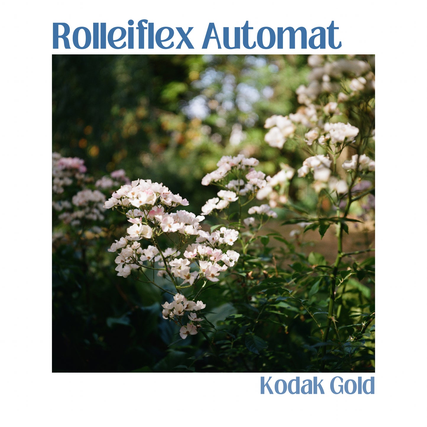 Rolleiflex Automat - Model 2