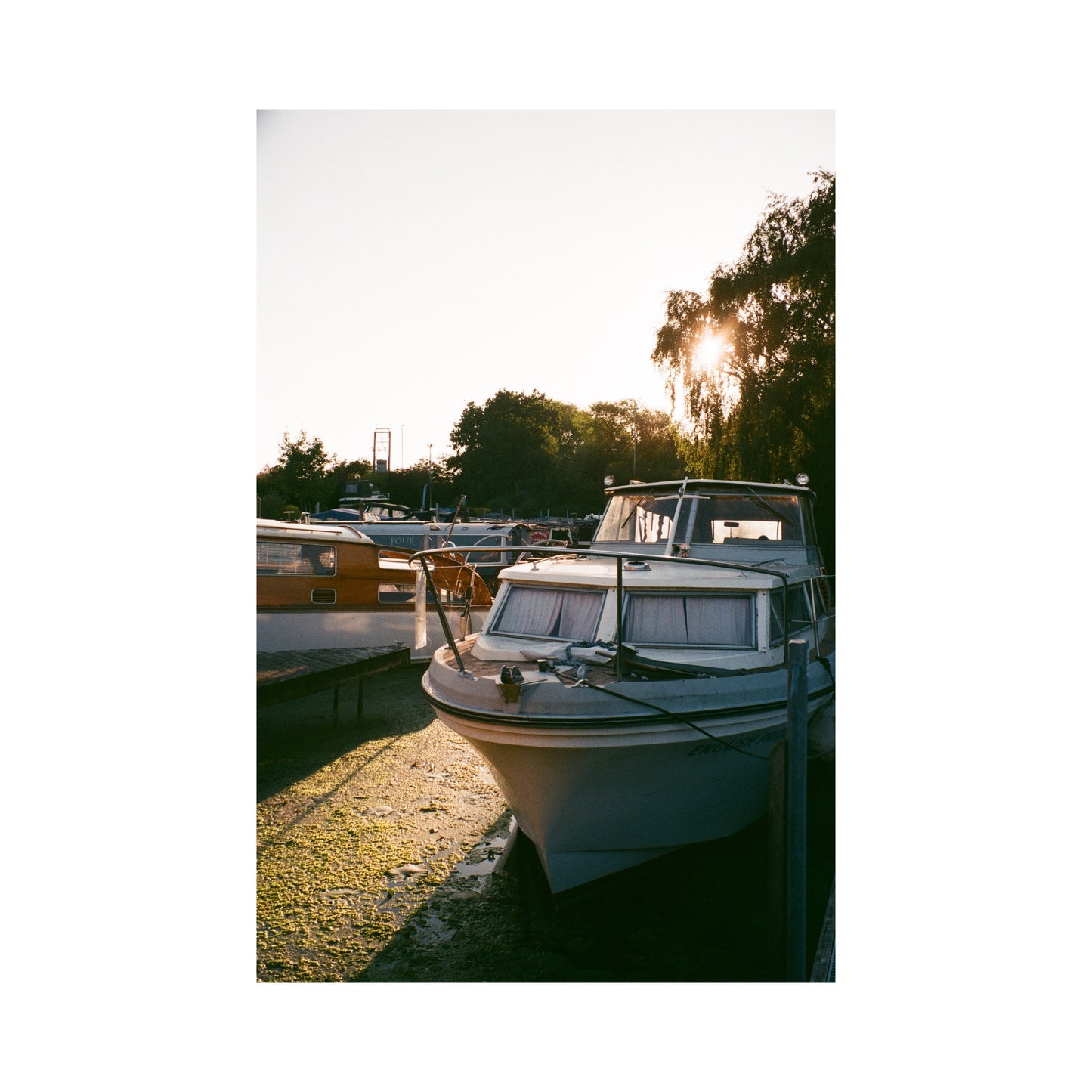 Kodak Gold - 120 Film