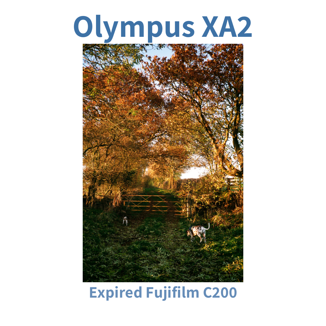 Olympus XA2 & A11 Flash