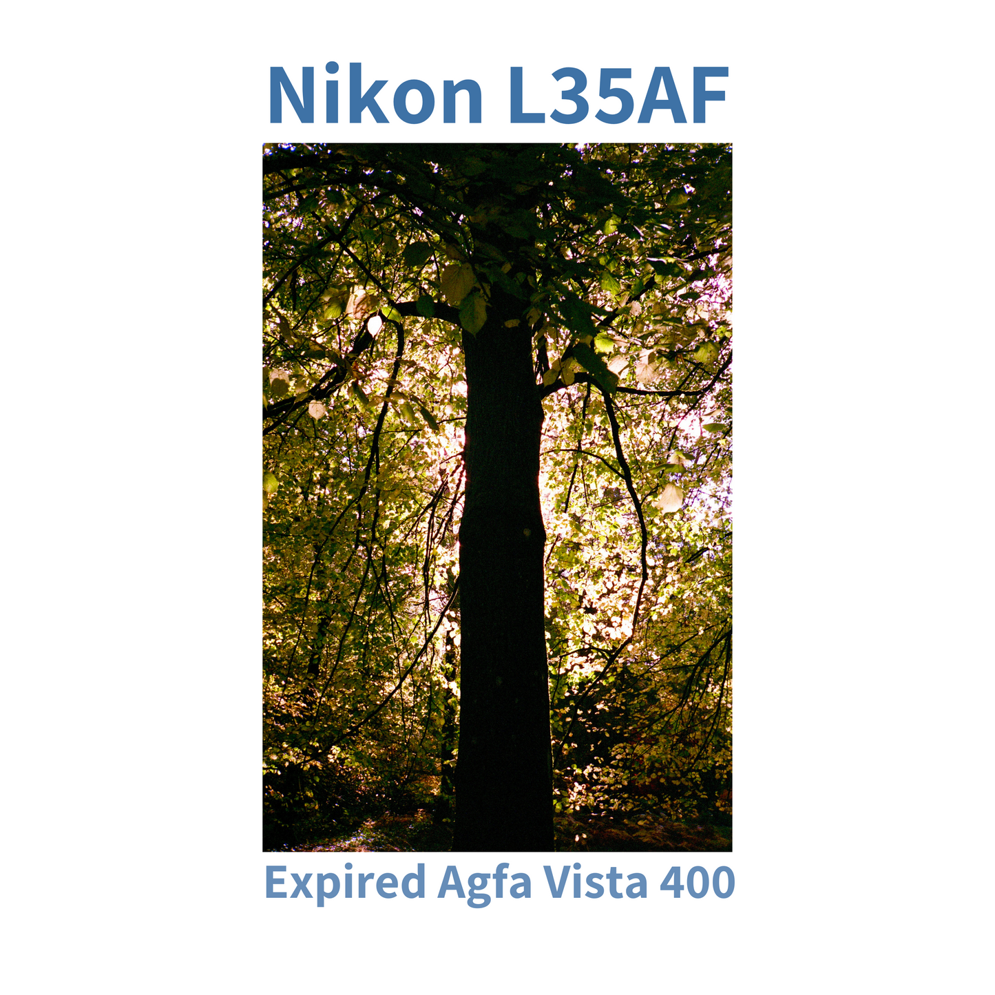 Nikon L35AF