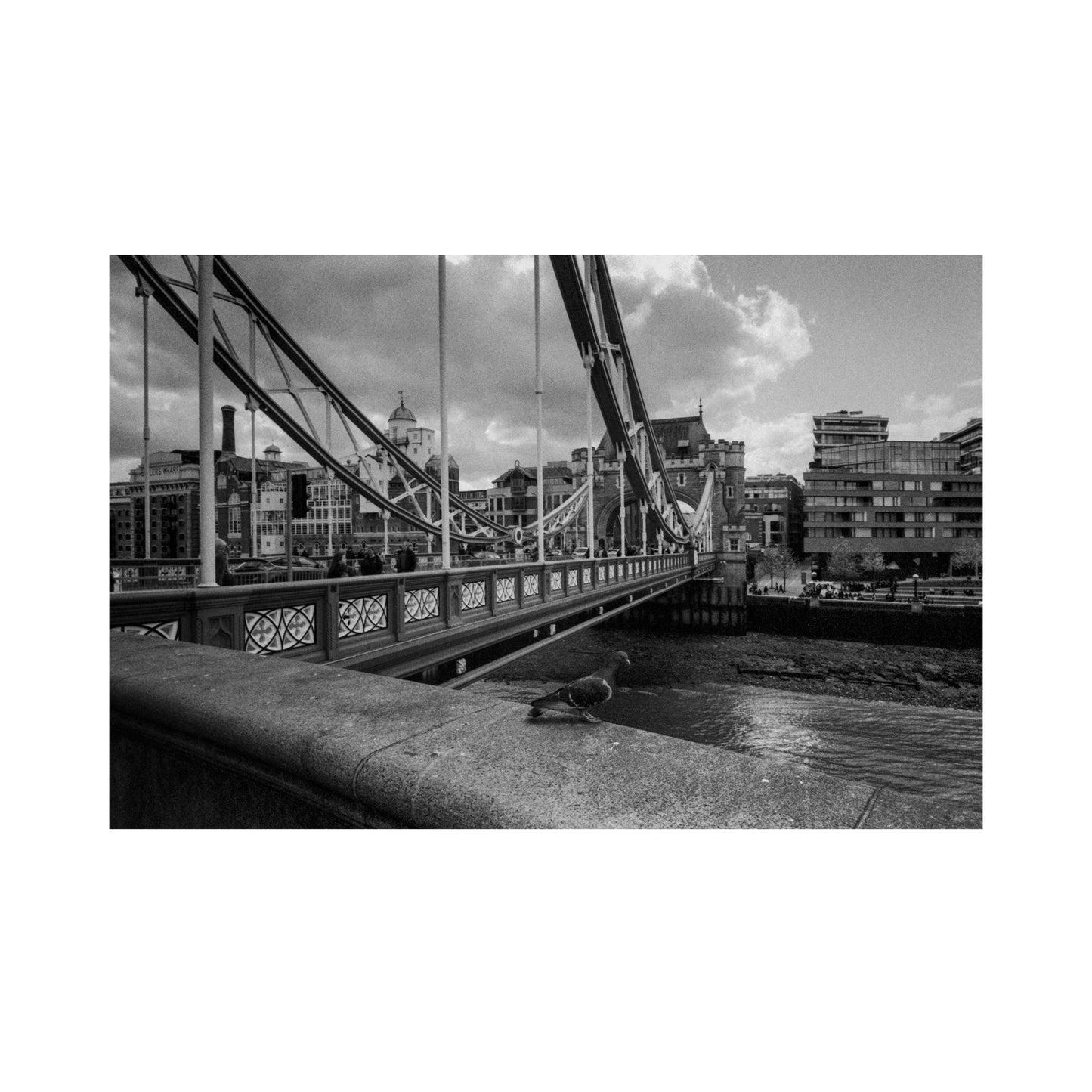 Kiki Pan 320 Black & White Film