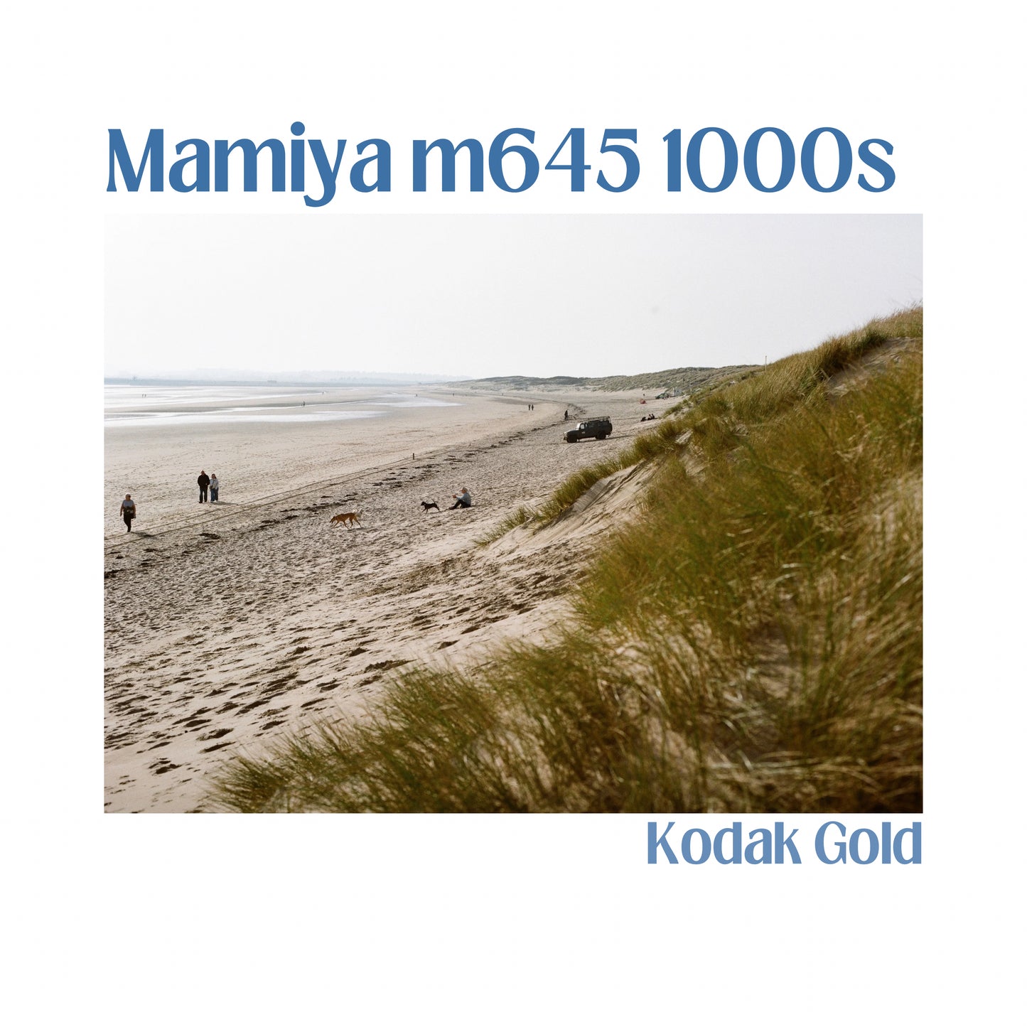 Mamiya m645 1000s