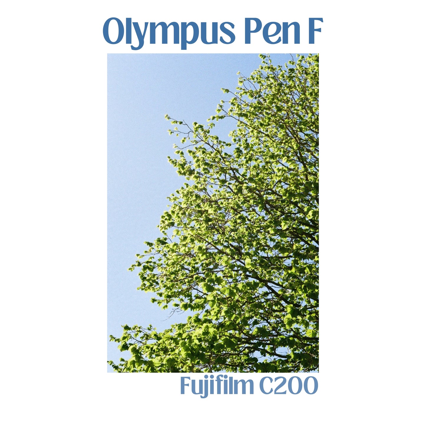 Olympus Pen F