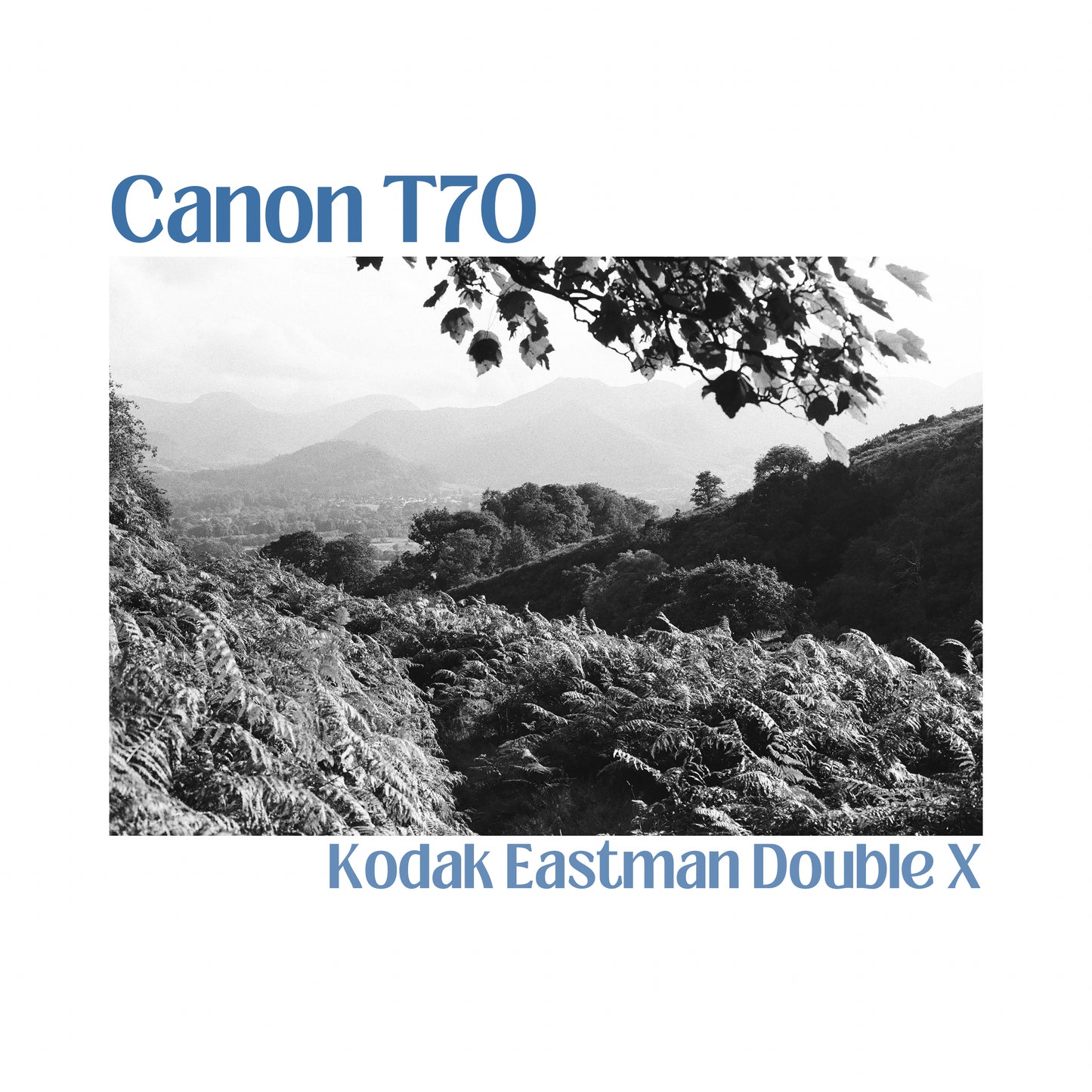 Canon T70