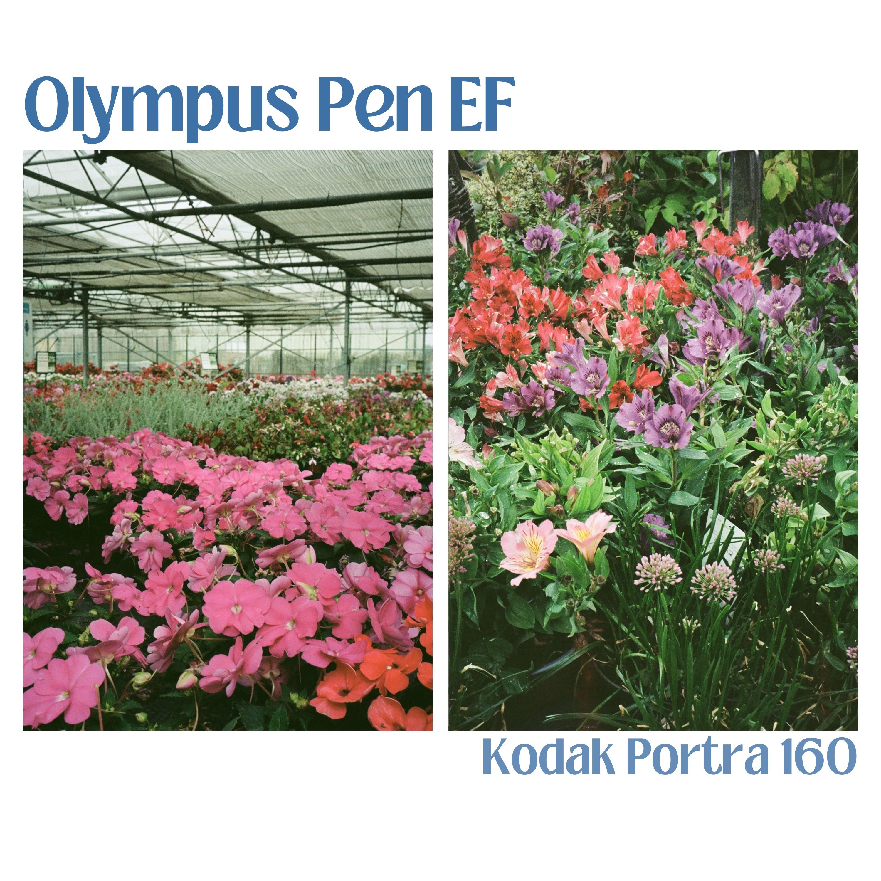 Olympus Pen EF – JFR Film