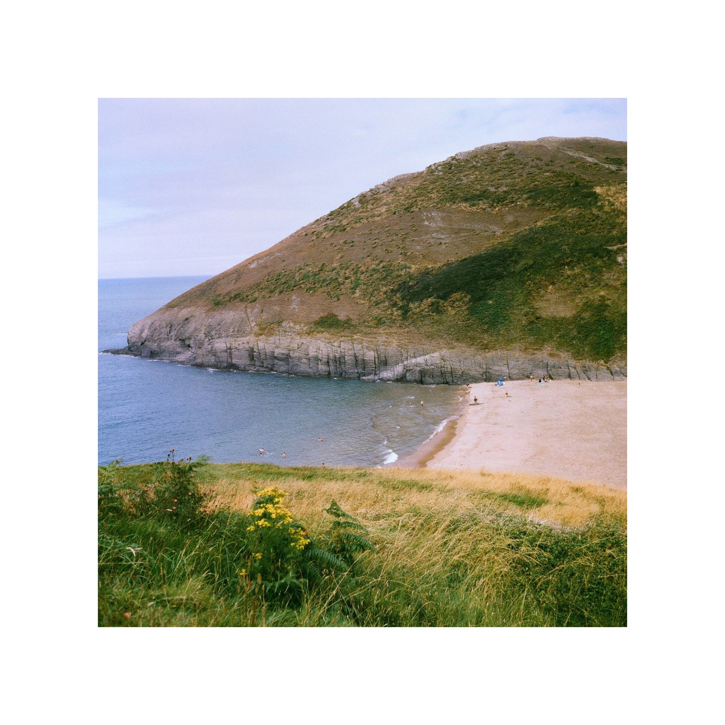 Harman Phoenix II - 35mm Film