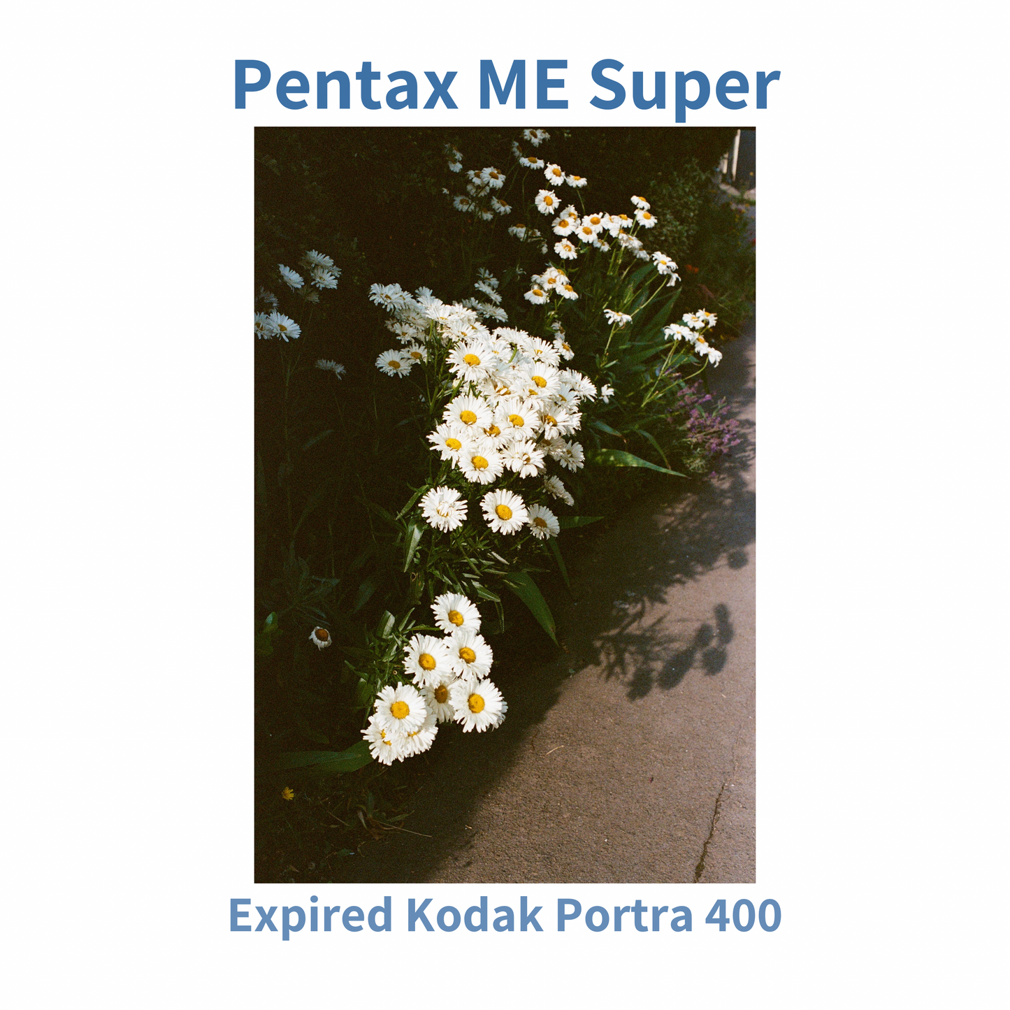 Pentax ME Super