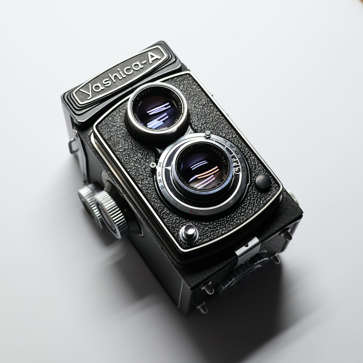 Yashica A