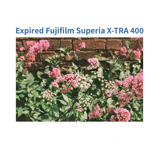 Fujifilm Superia X-Tra 400 (Expired)