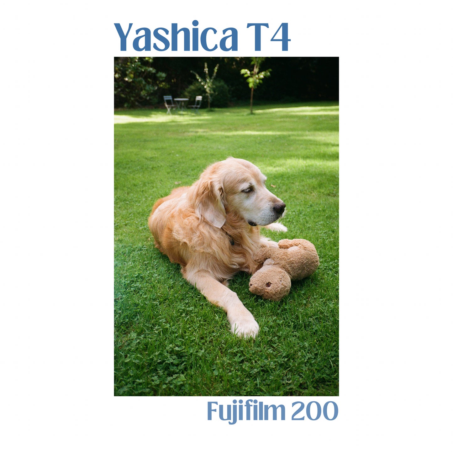 Yashica T4