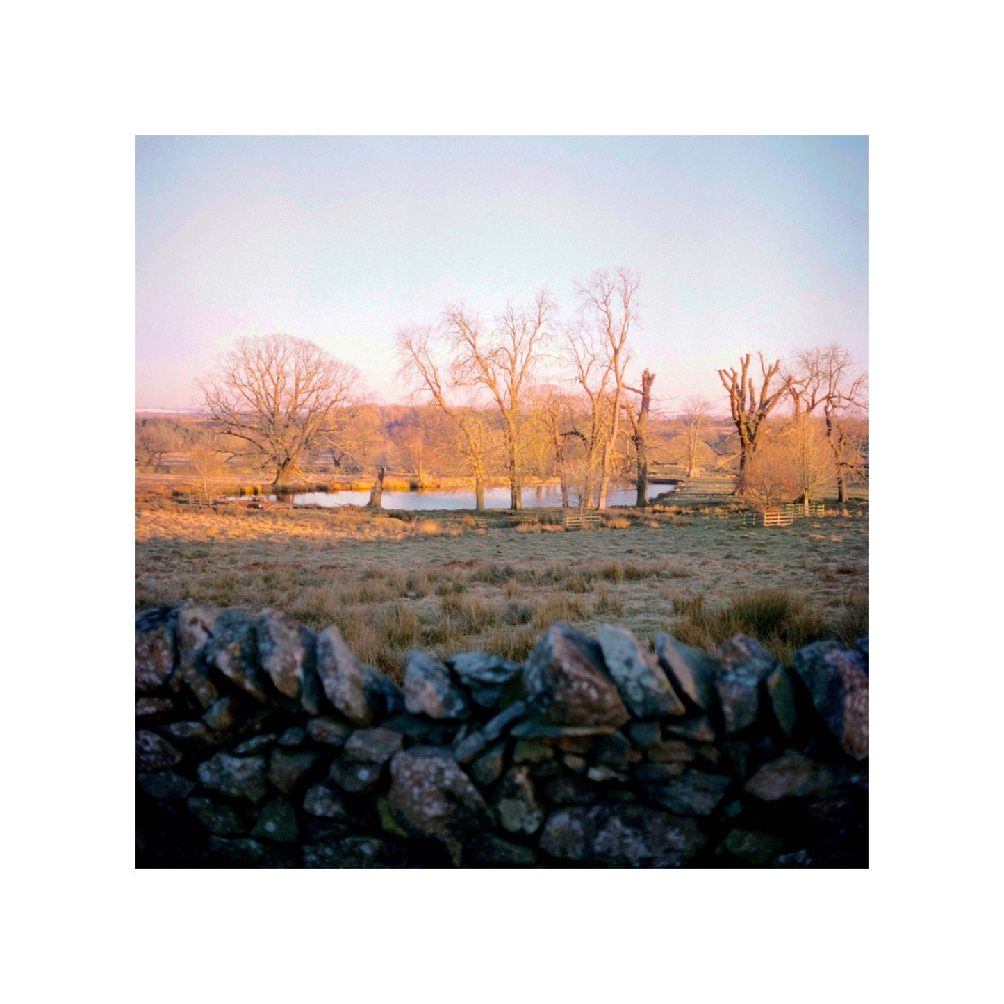 Harman Phoenix 200 - 35mm Film