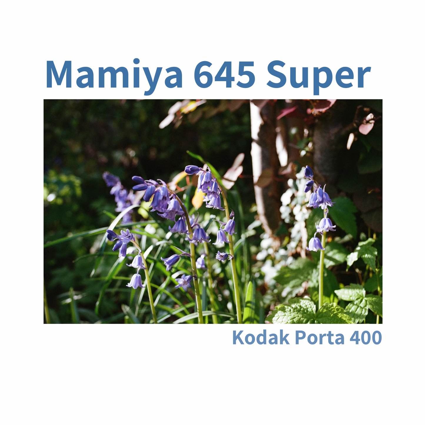 Mamiya m645 Super