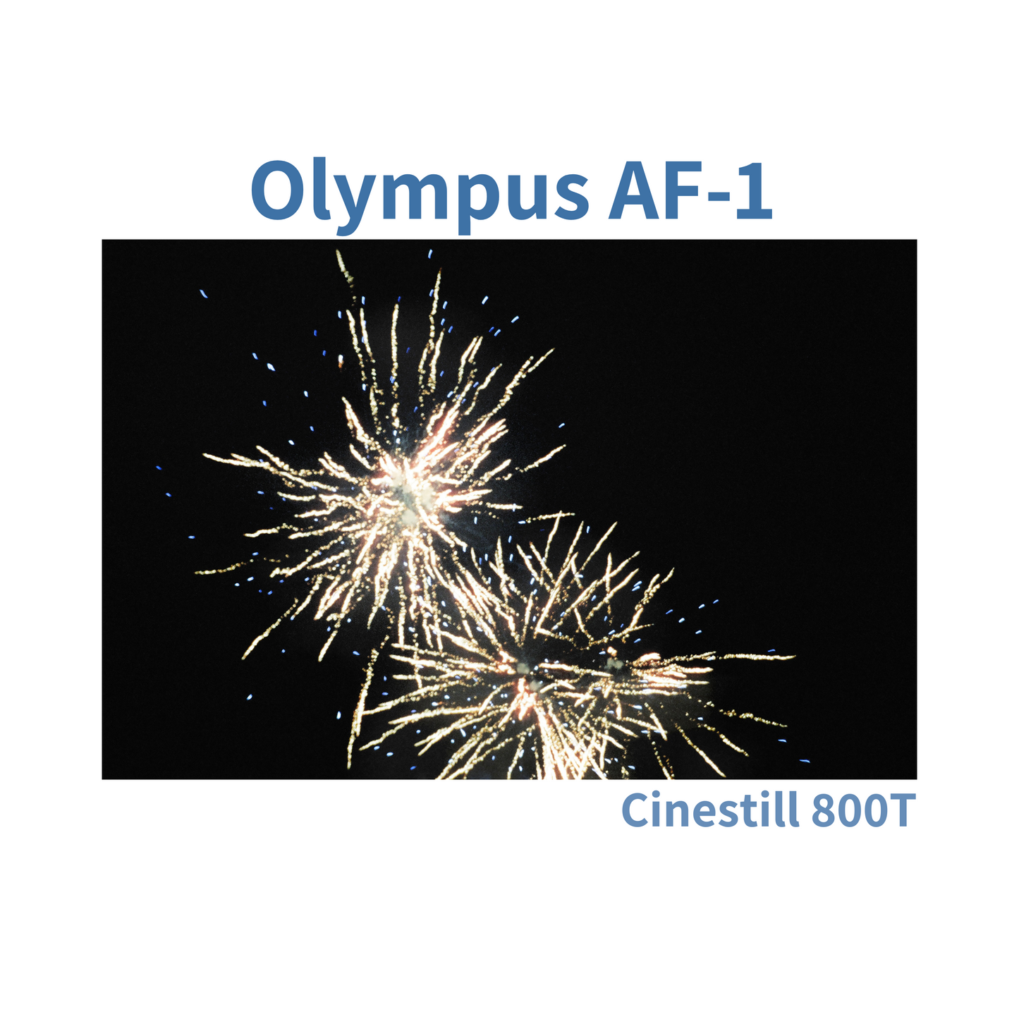 Olympus AF-1