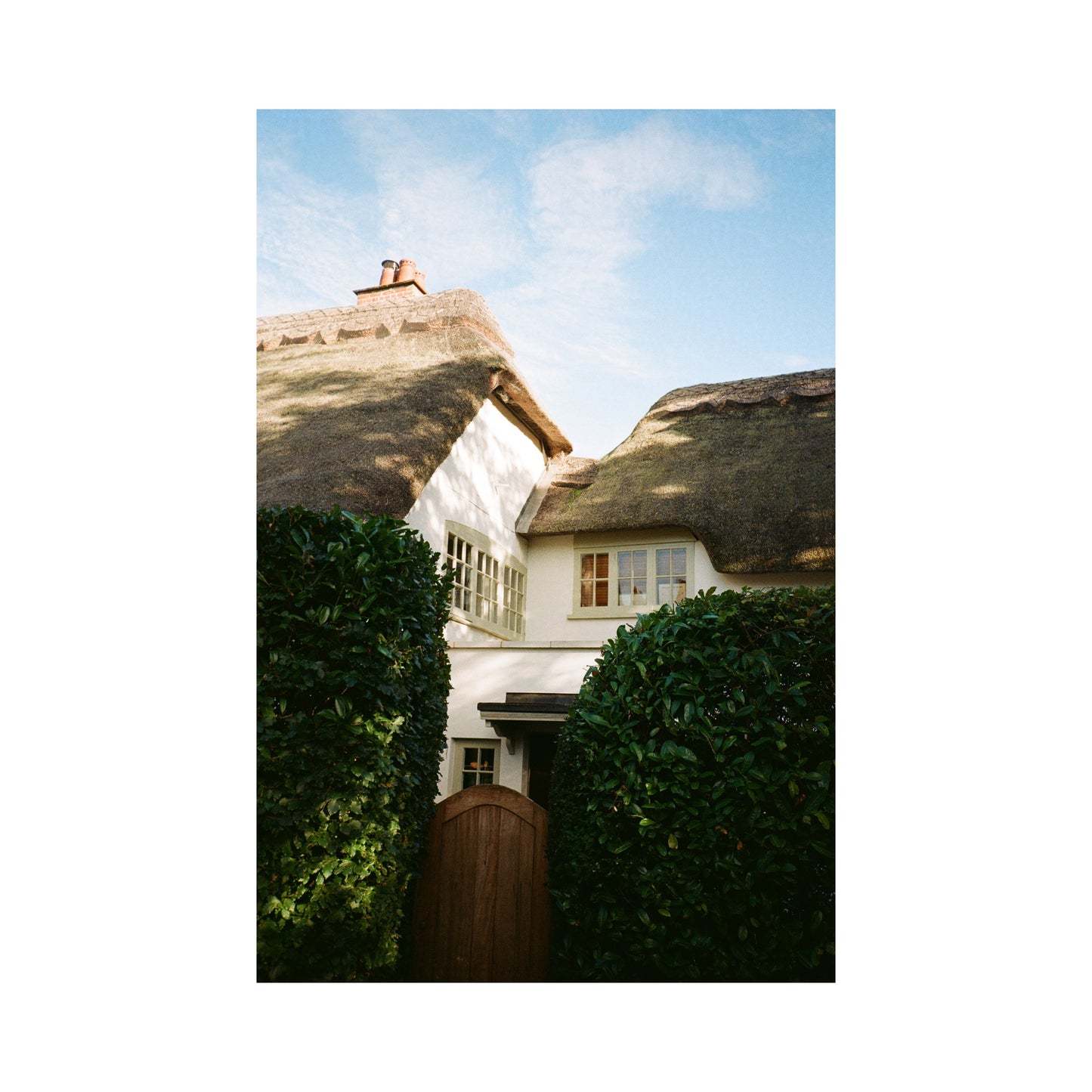 Kodak Gold - 120 Film