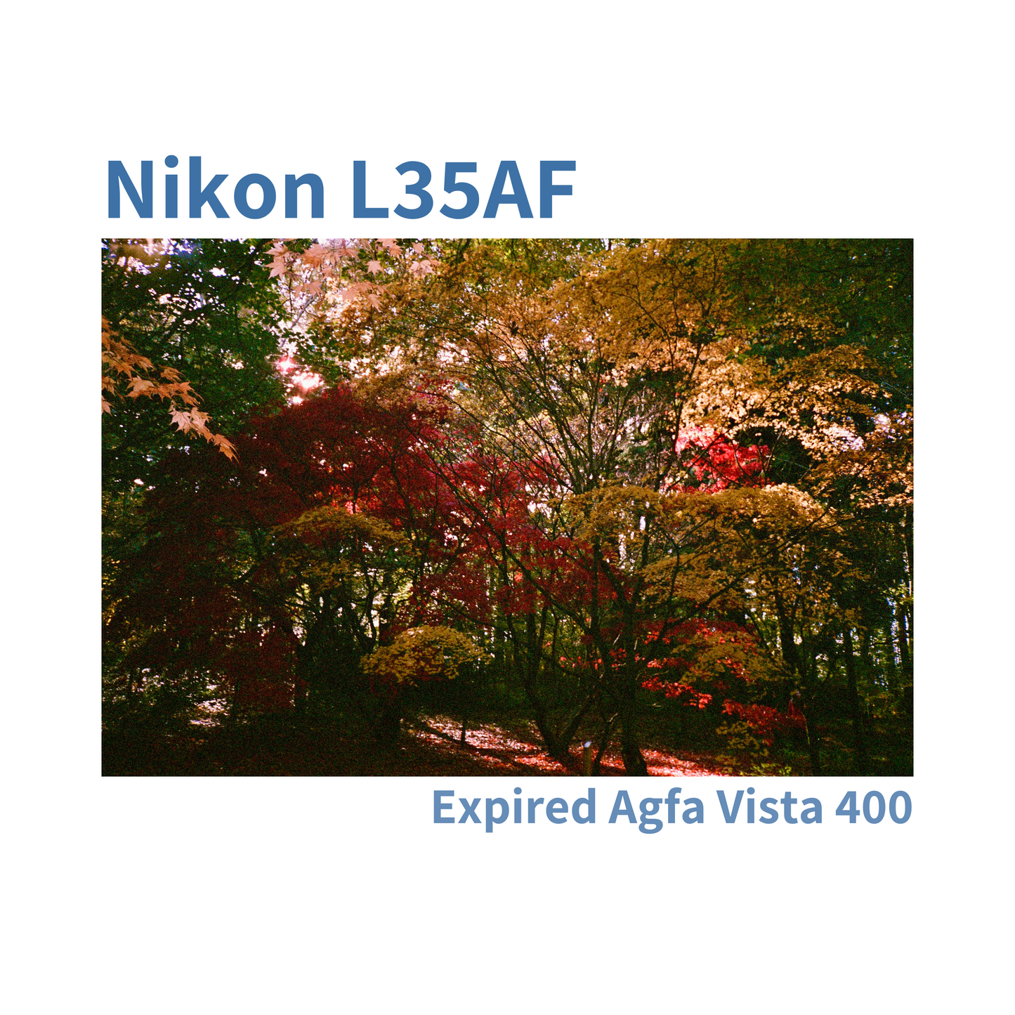 Nikon L35AF