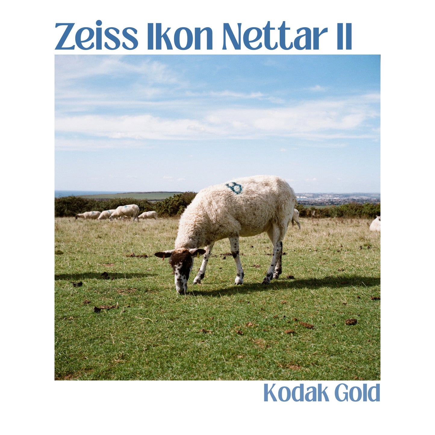 Zeiss Ikon Nettar II