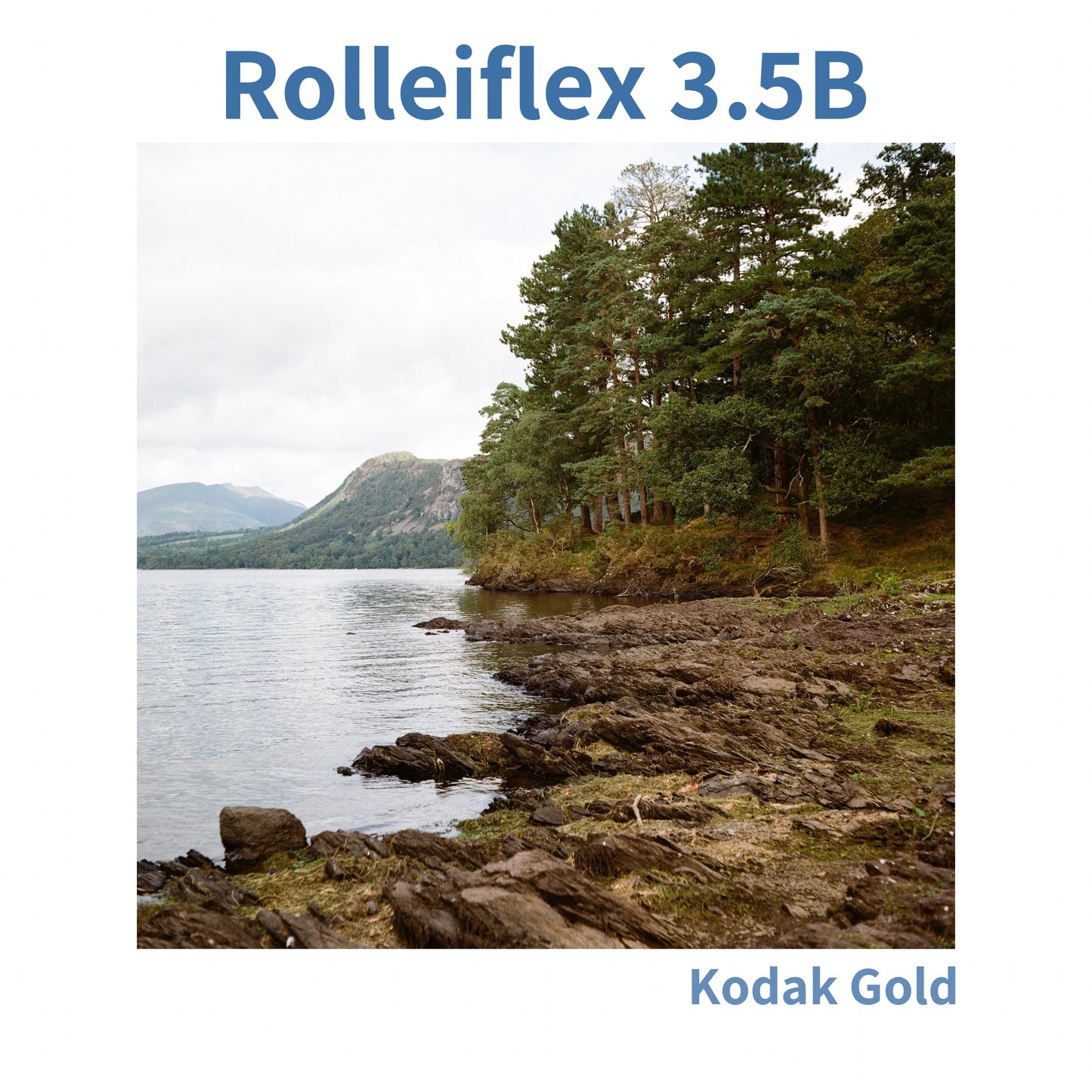 Rolleiflex 3.5 B