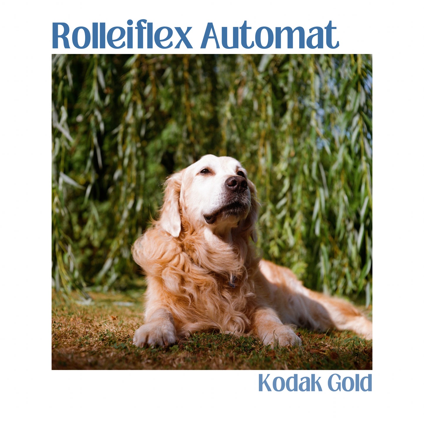 Rolleiflex Automat - Model 2