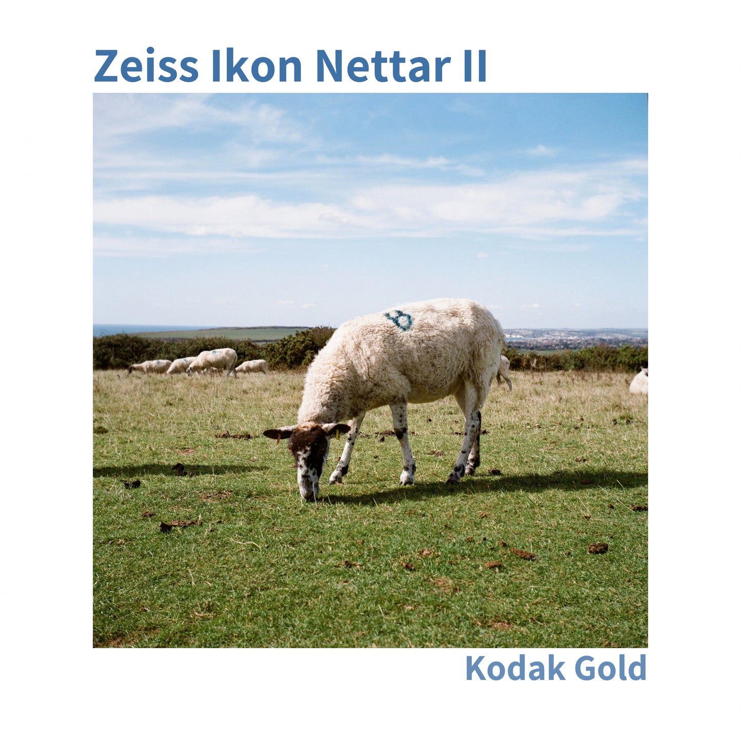 Zeiss Ikon Nettar II