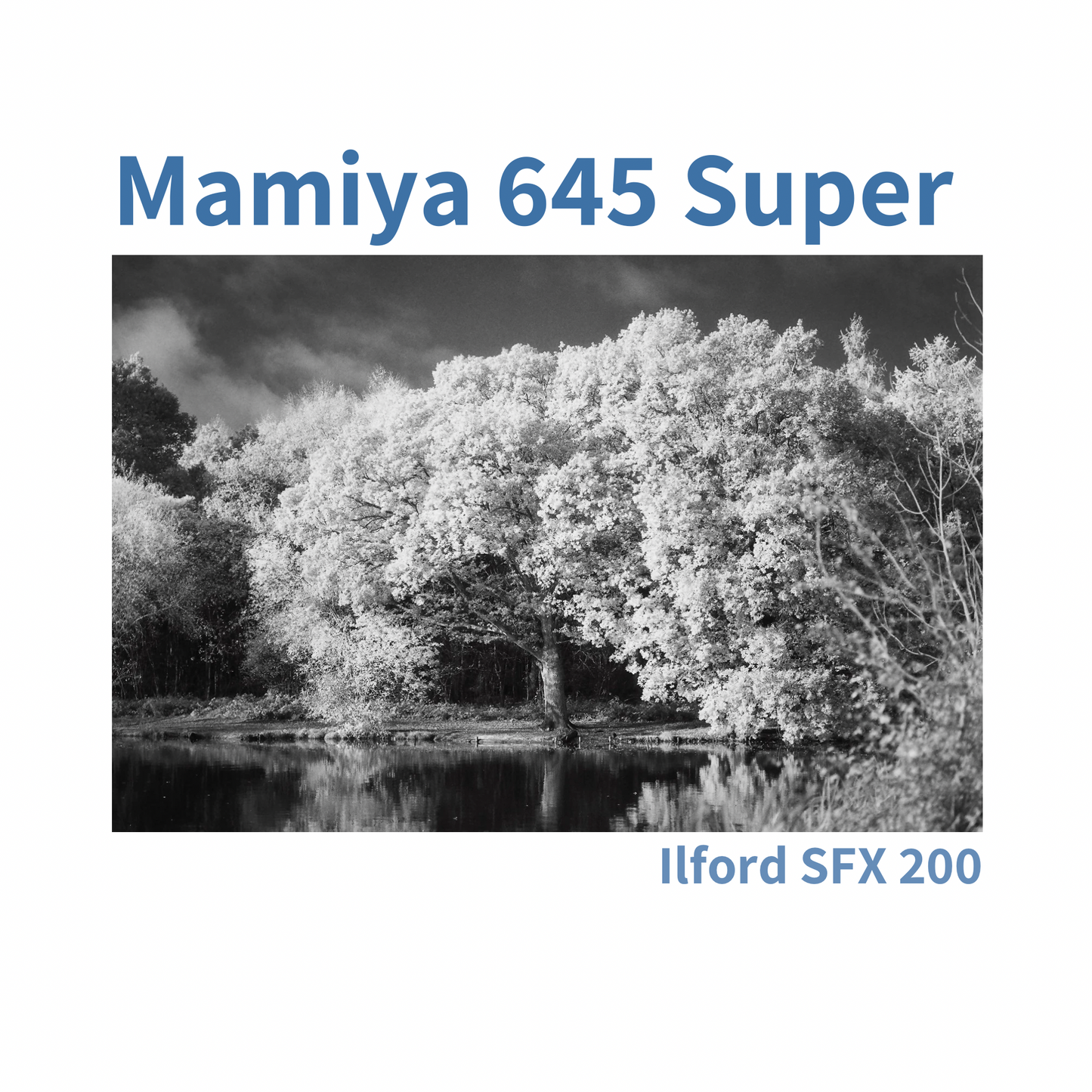 Mamiya m645 Super