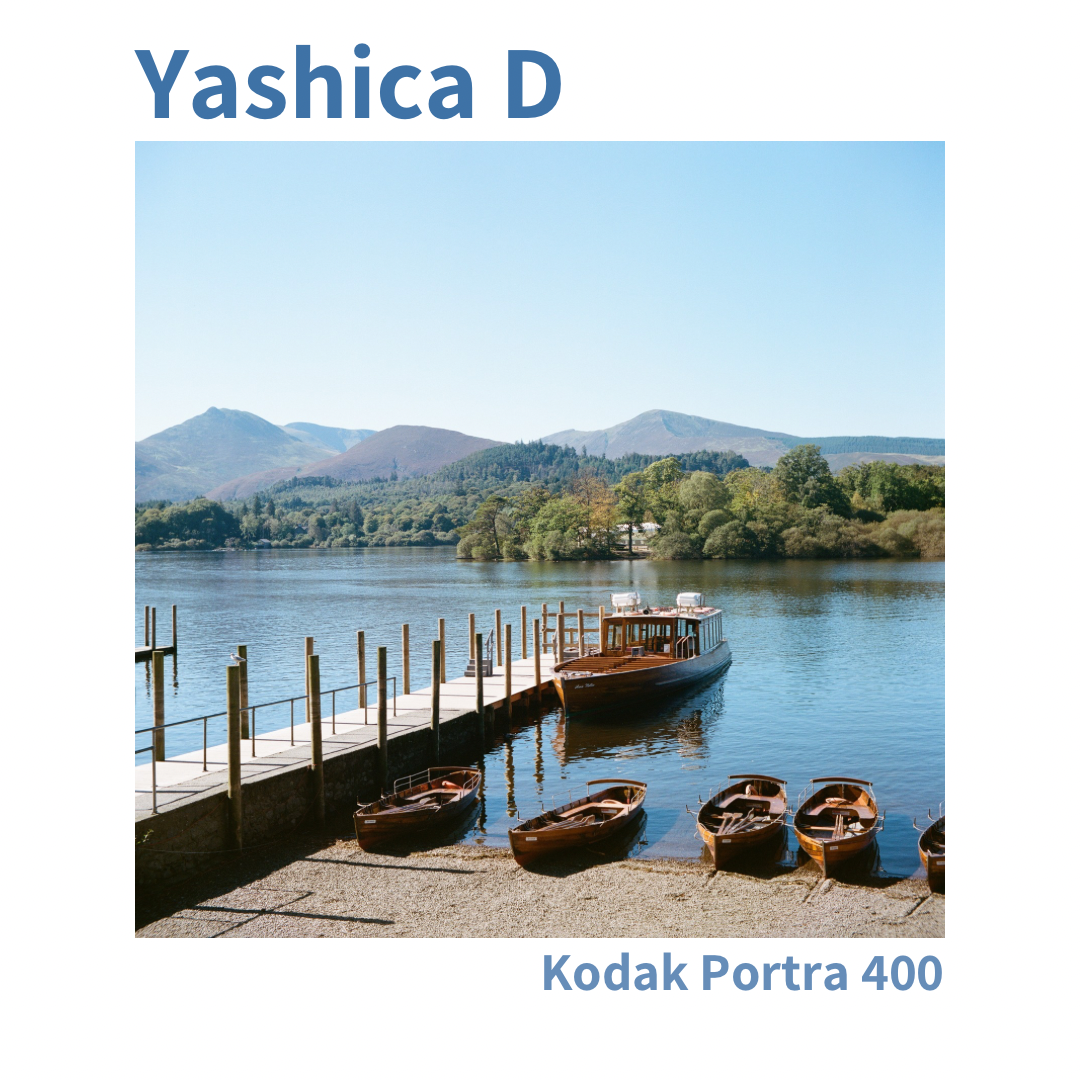 Yashica D