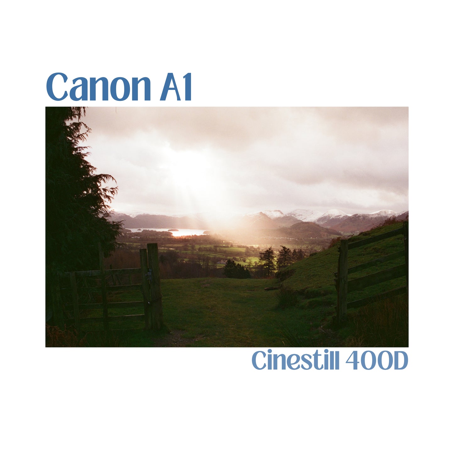 Canon A1 with 50mm f/1.4 lens