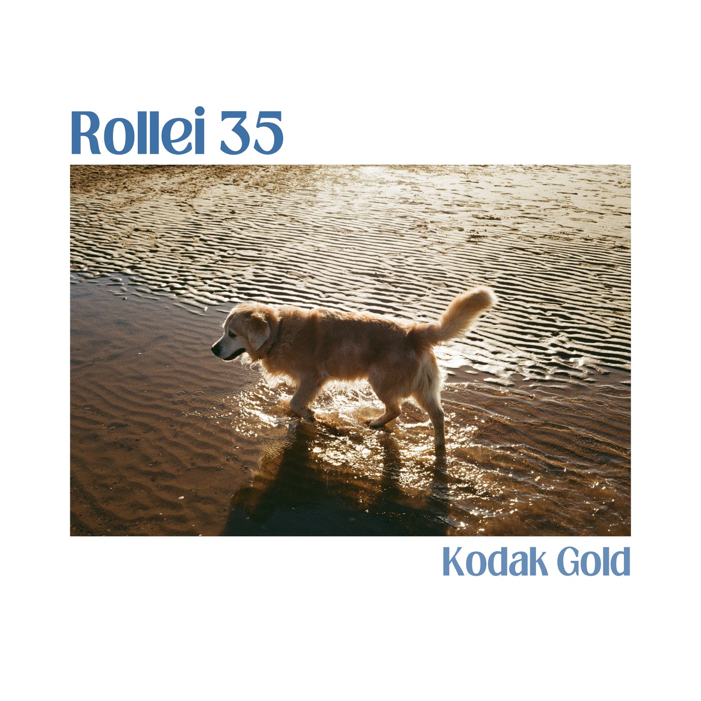 Rollei 35 - Black
