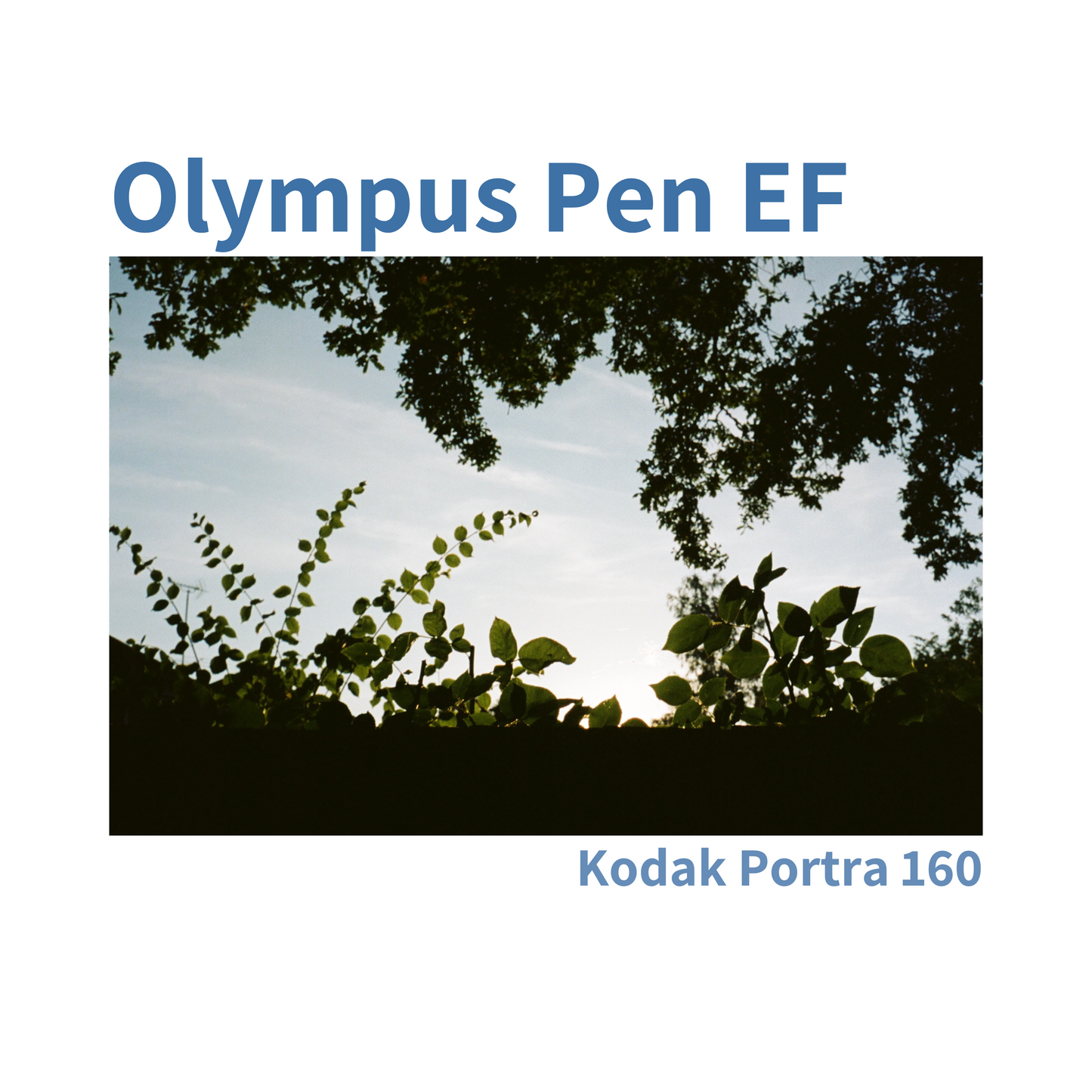 Olympus Pen EF