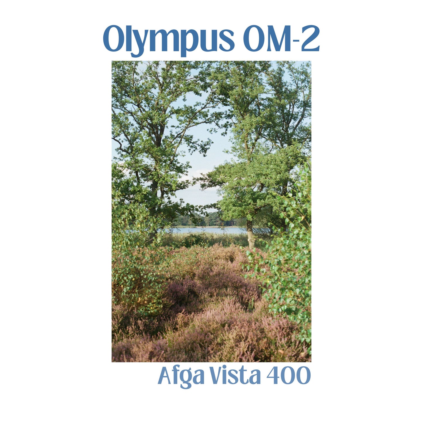 Olympus OM-2n with 50mm f/1.4