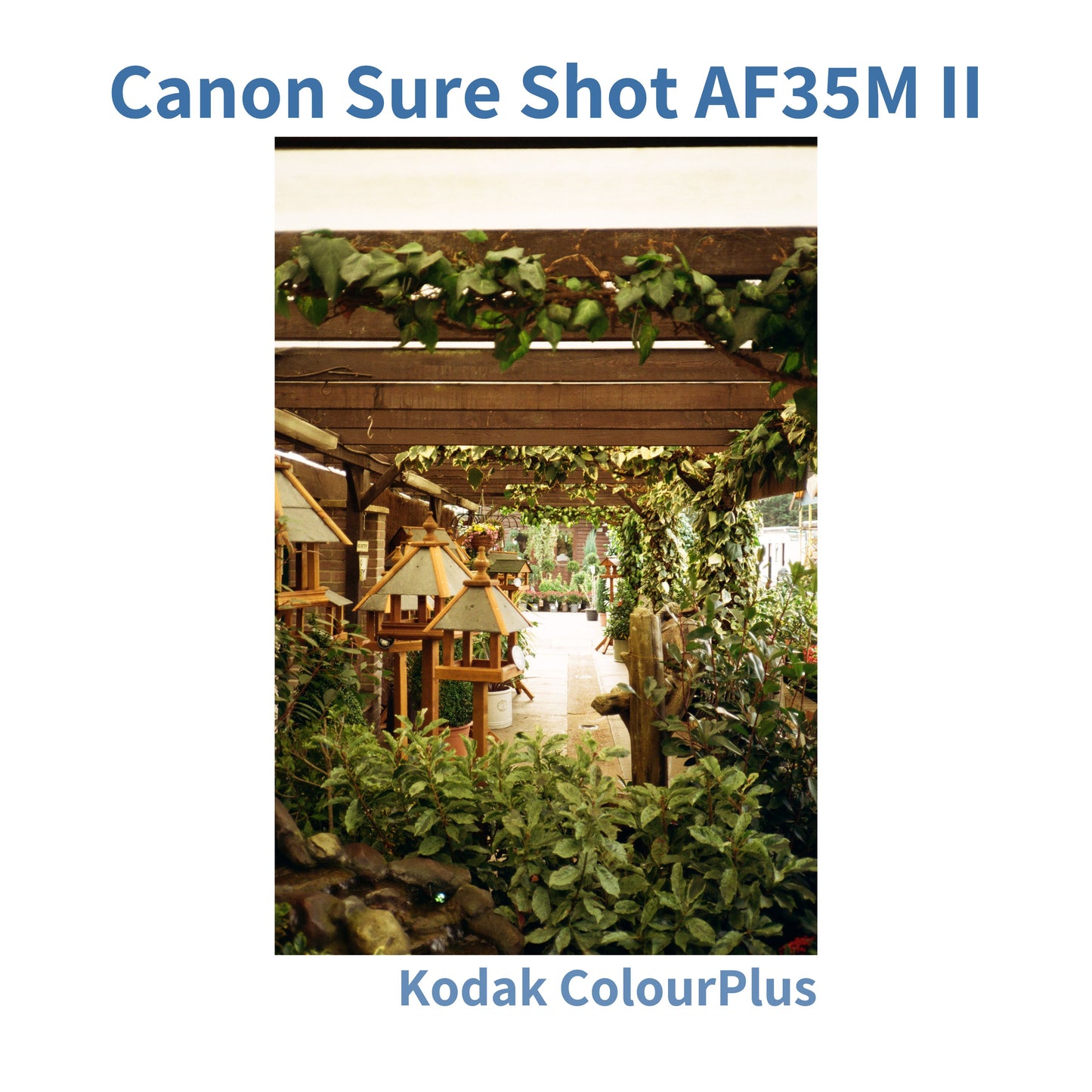 Canon Sure Shot AF35M II