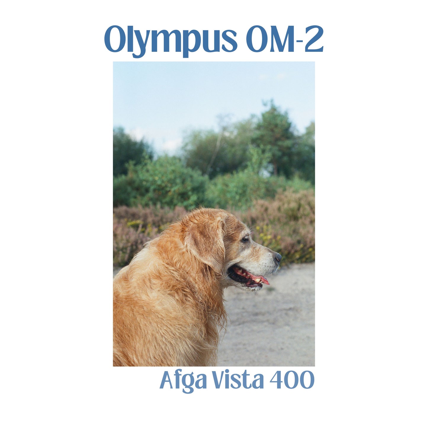 Olympus OM-2n with 50mm f/1.4