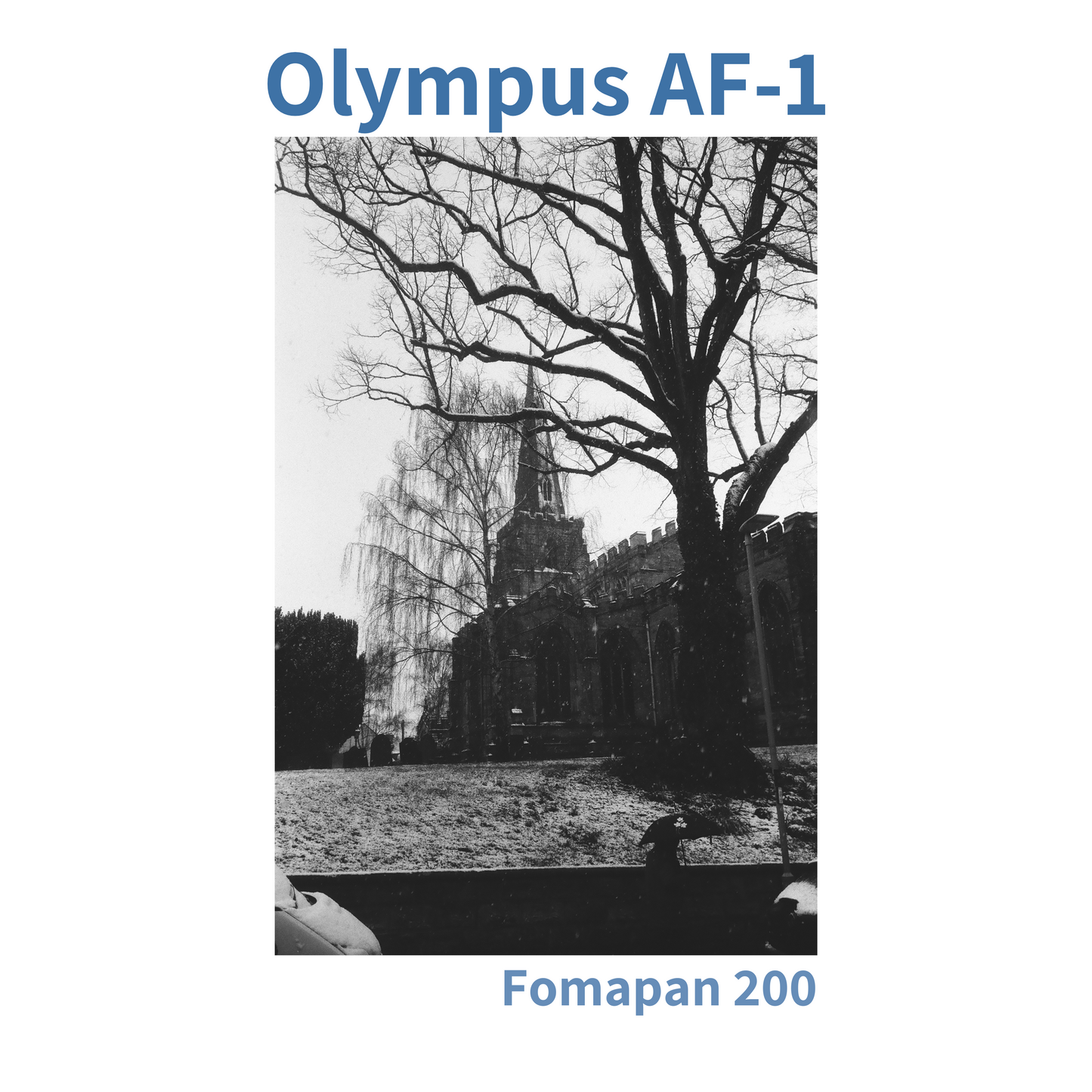 Olympus AF-1