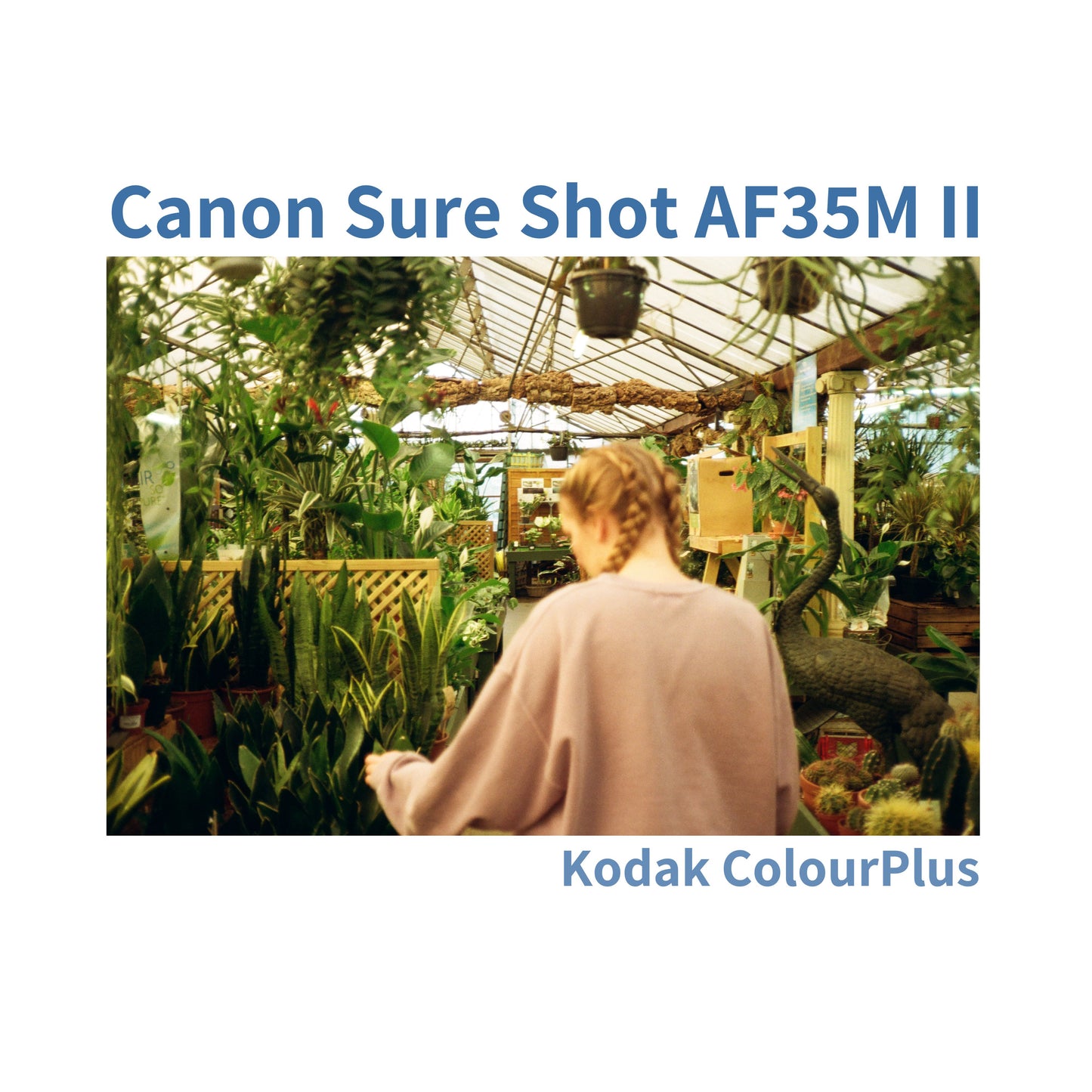 Canon Sure Shot AF35M II