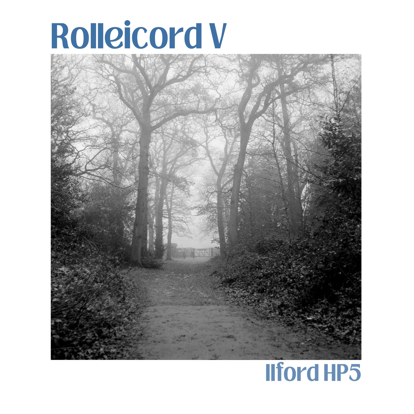 Rolleicord V