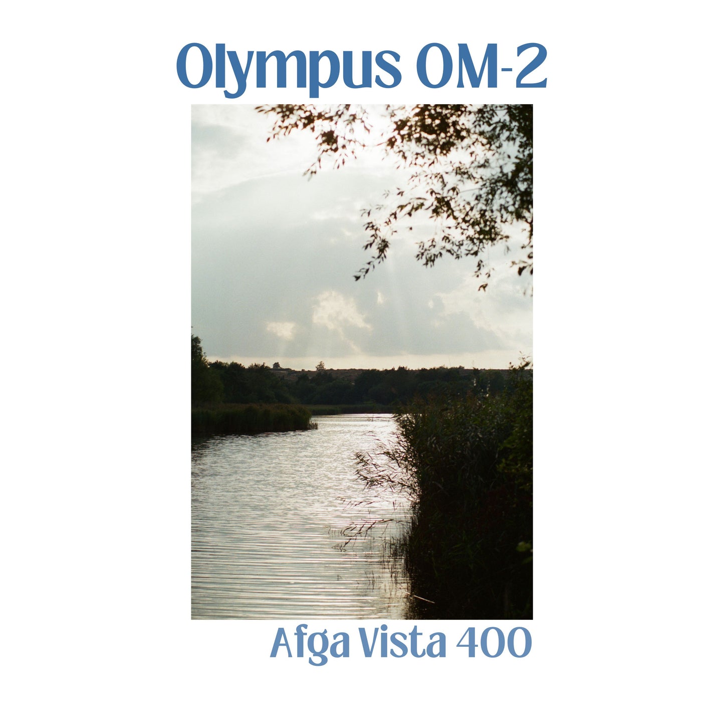 Olympus OM-2n with 50mm f/1.4