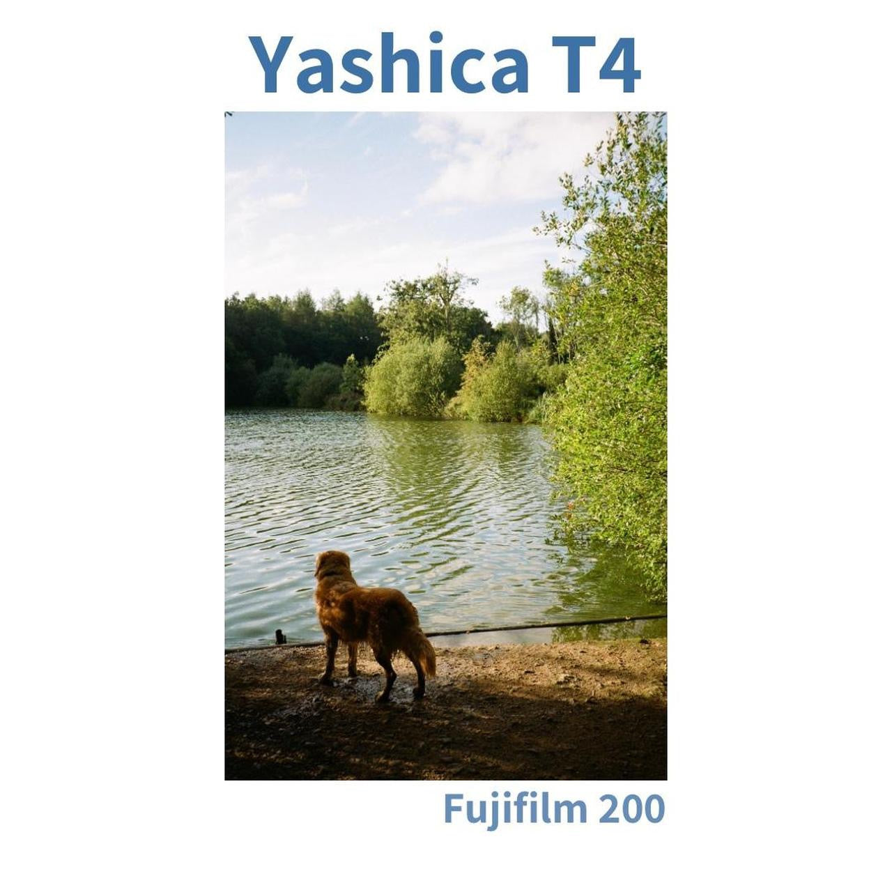 Yashica T4