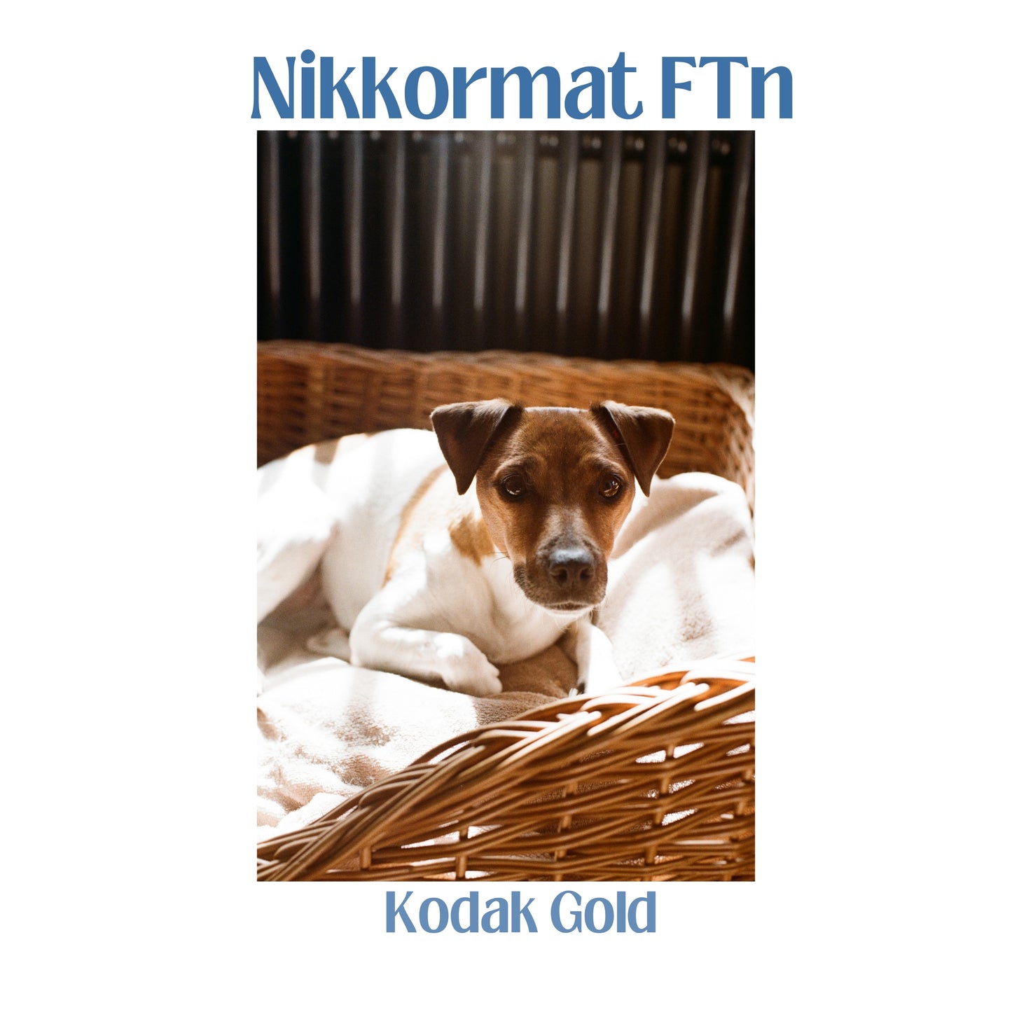 Nikkormat FTN with 50mm f/1.4