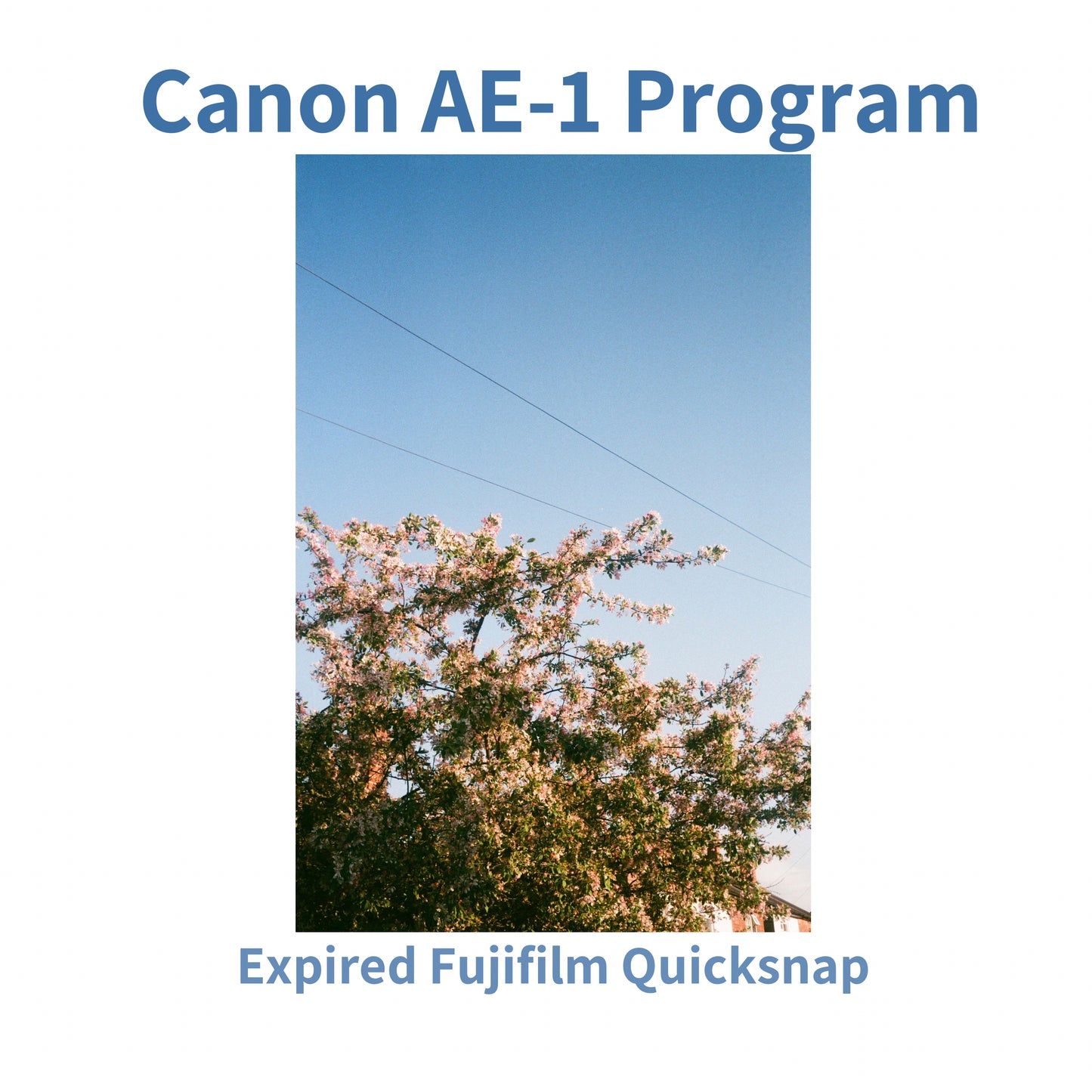 Canon AE-1 Program