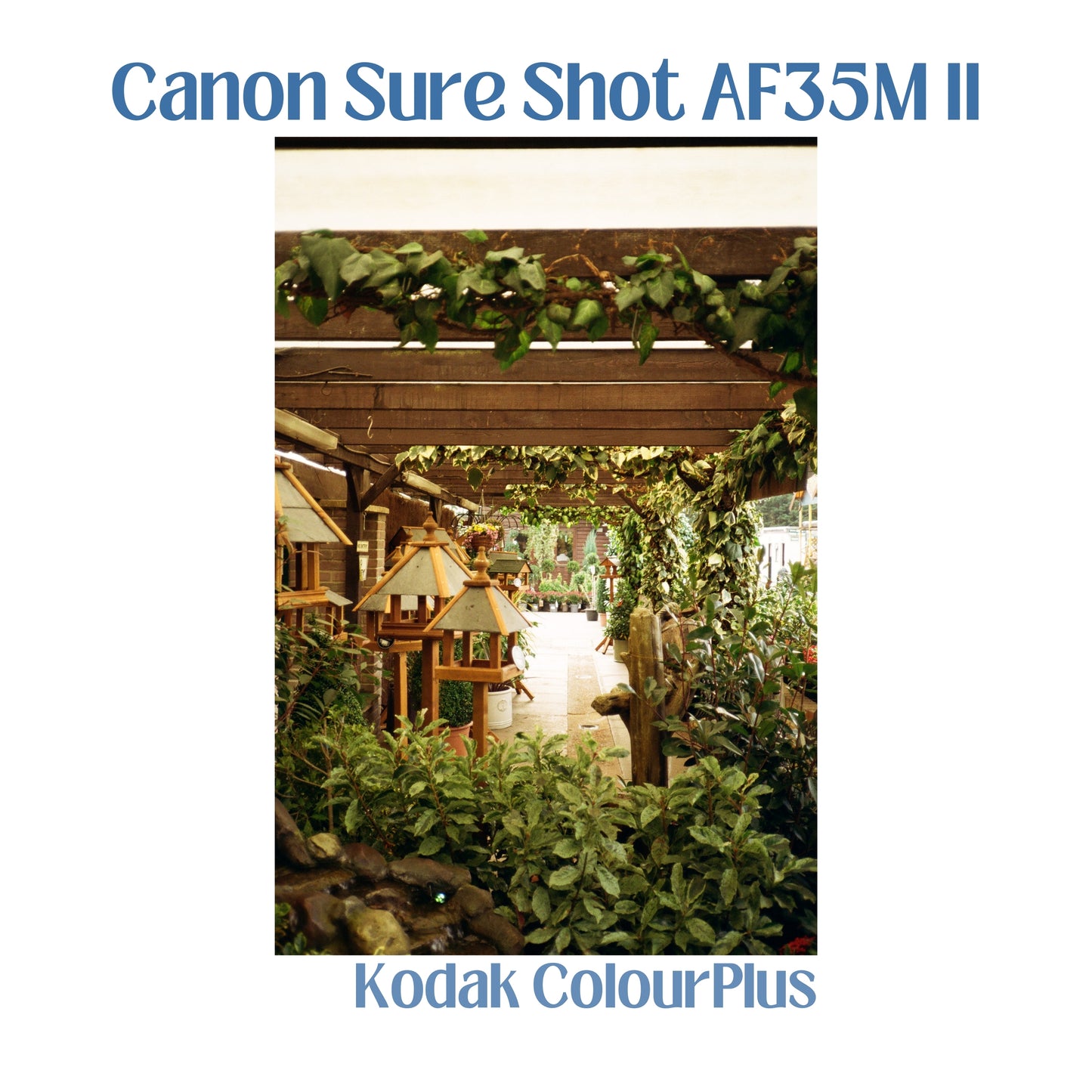 Canon Sure Shot AF35M II