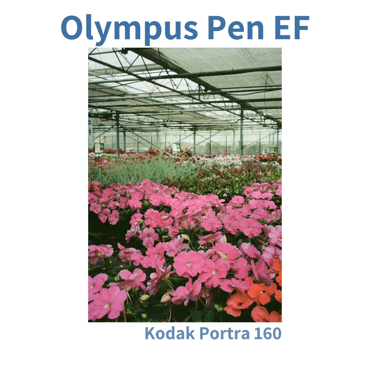 Olympus Pen EF