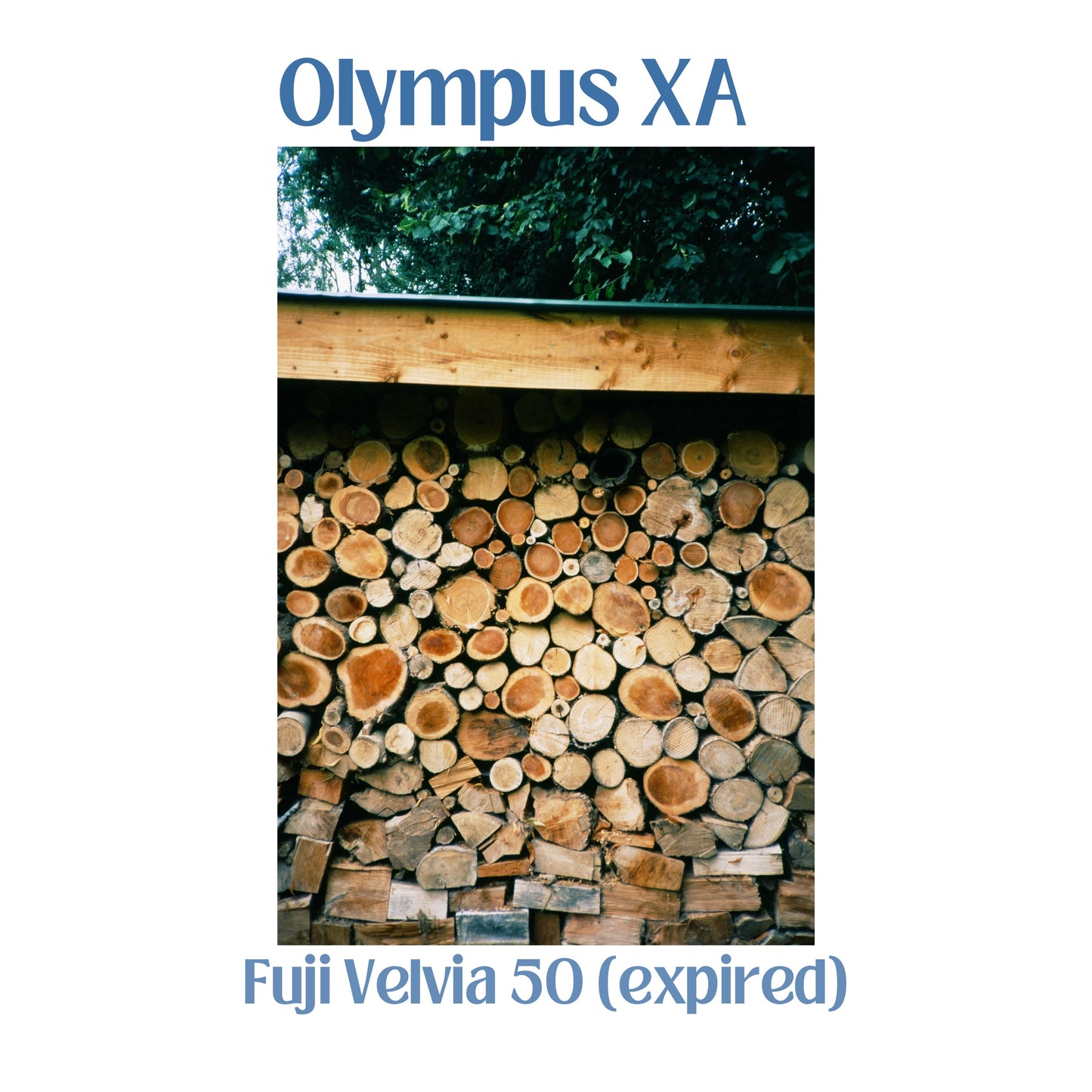 Olympus XA & A11 Flash