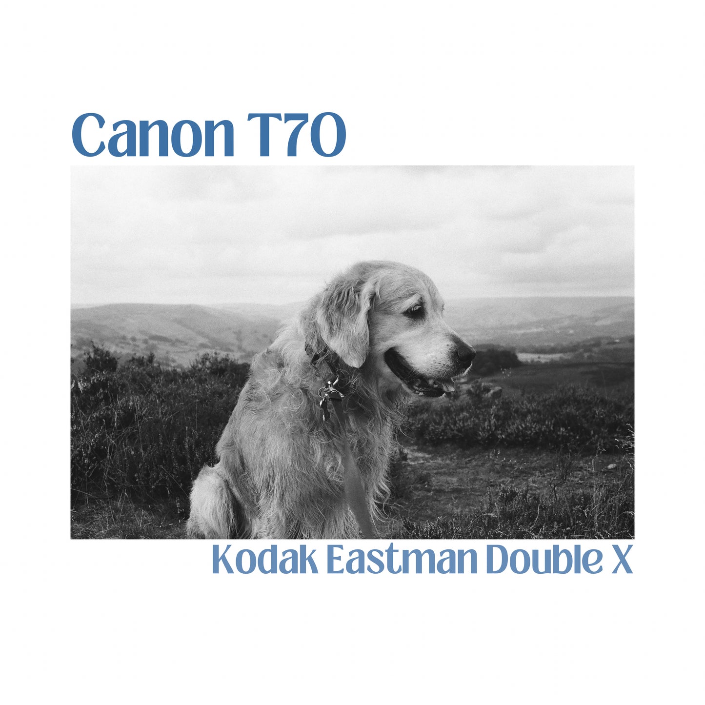 Canon T70