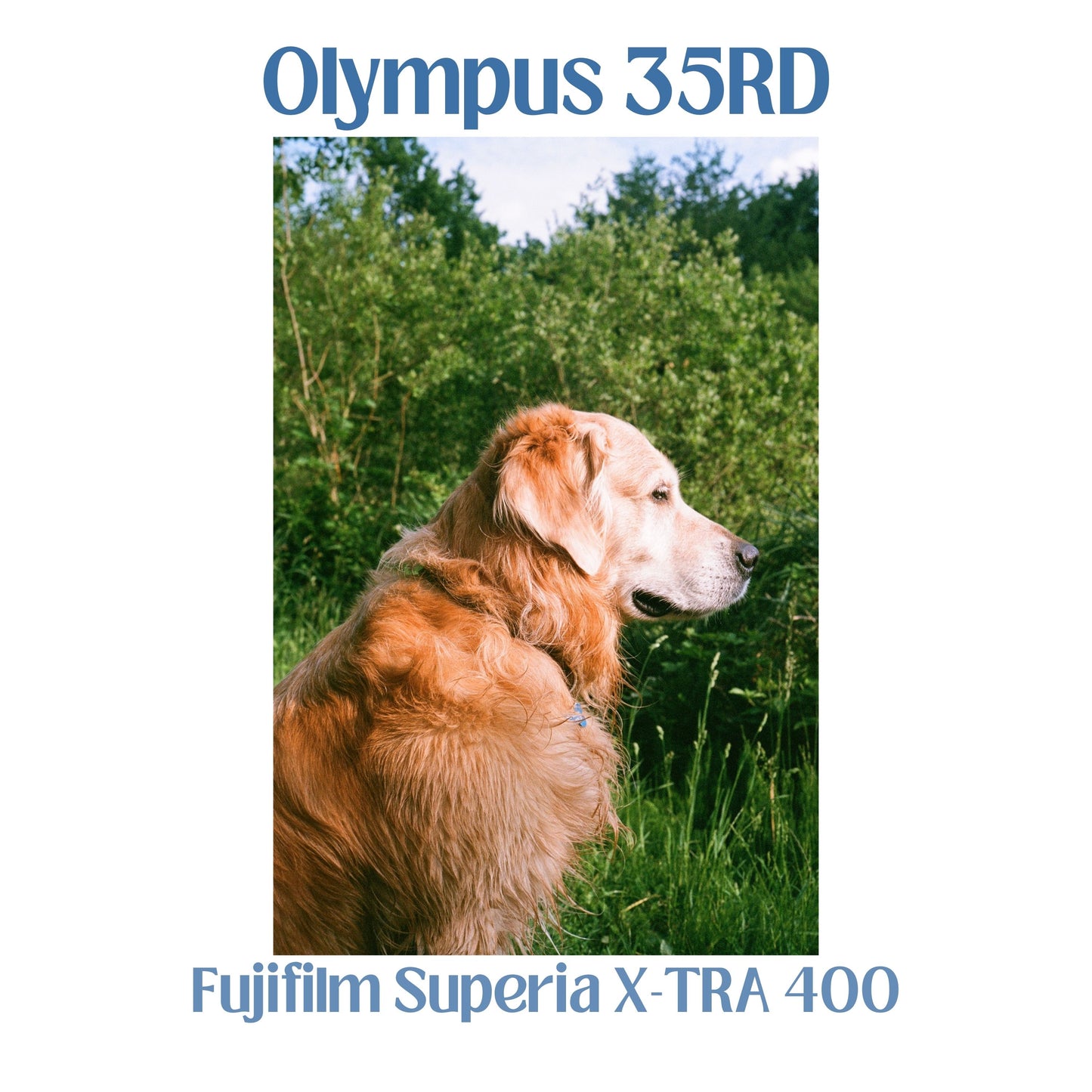 Olympus 35RD - Black